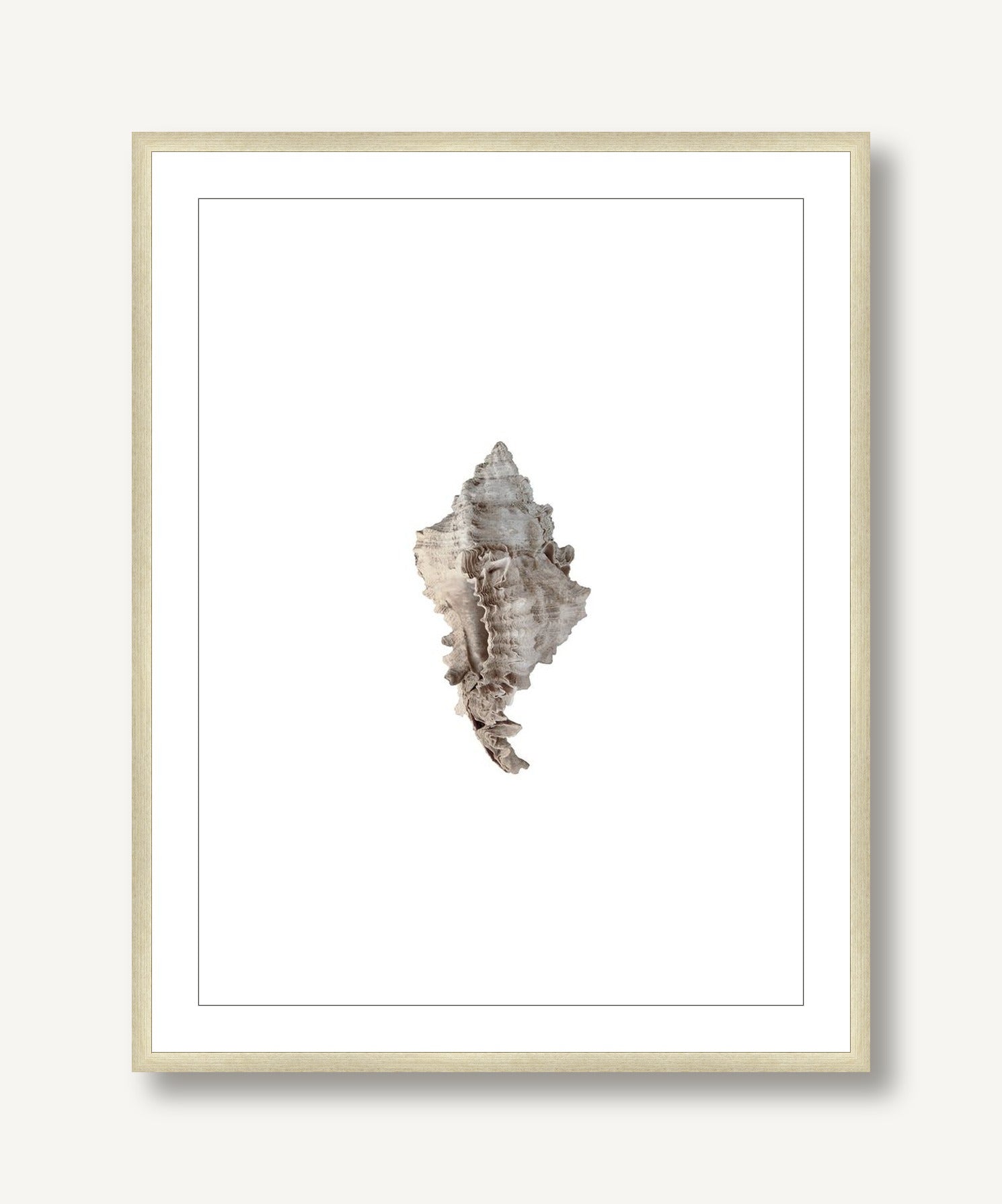 Evergladensis 2 framed