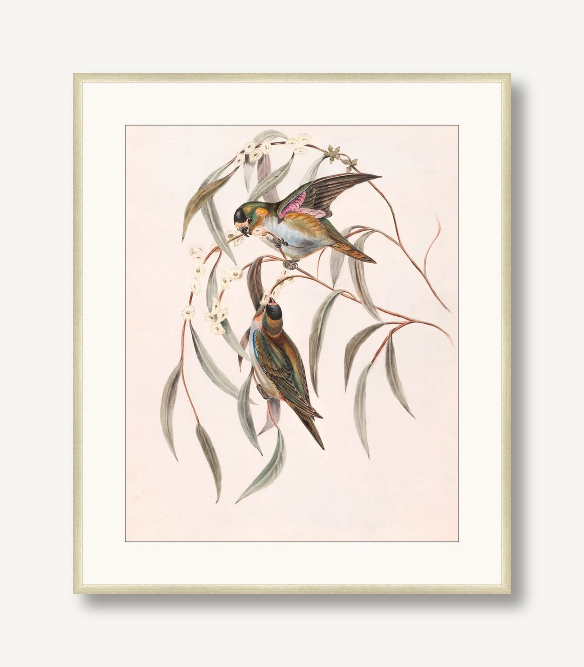 Feathered Friends 1 framed