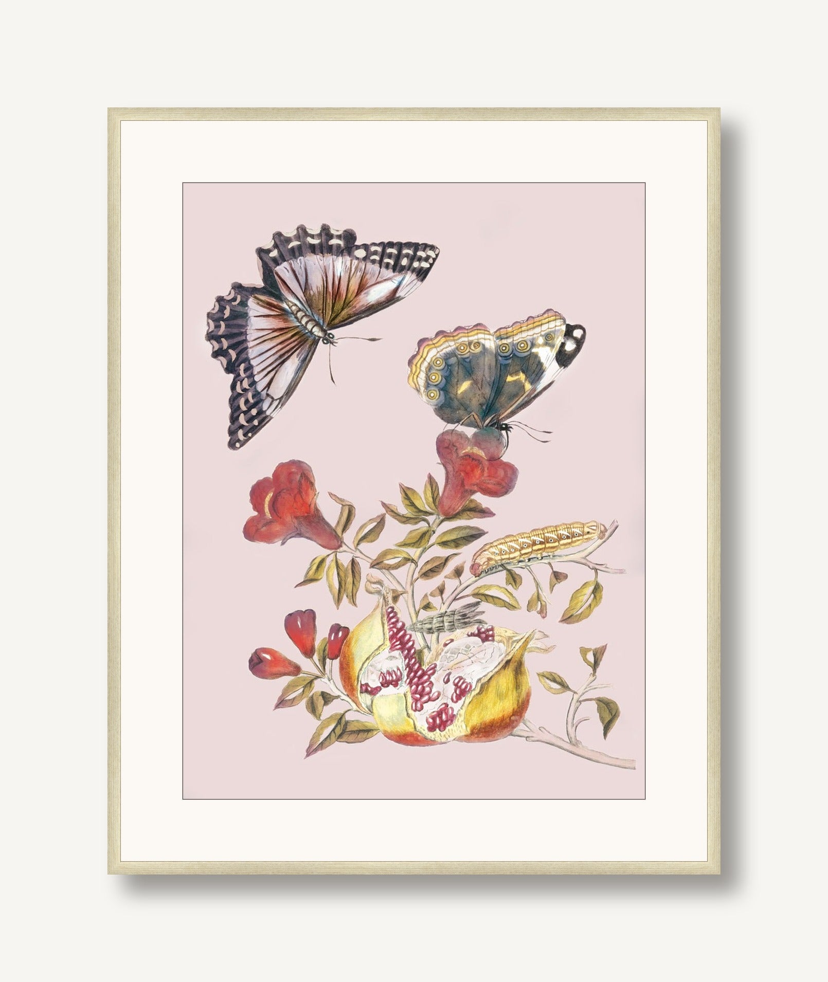 Fruit and Flutterby 1 framed
