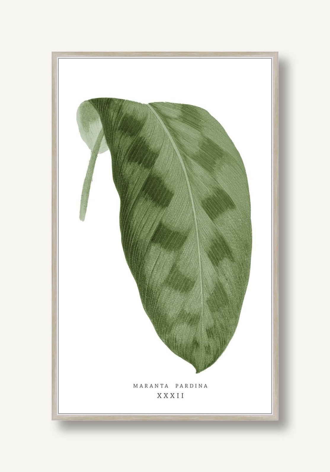 Green Trace 1 framed