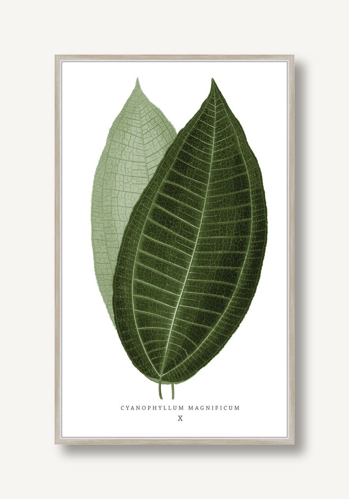 Green Trace 2 framed