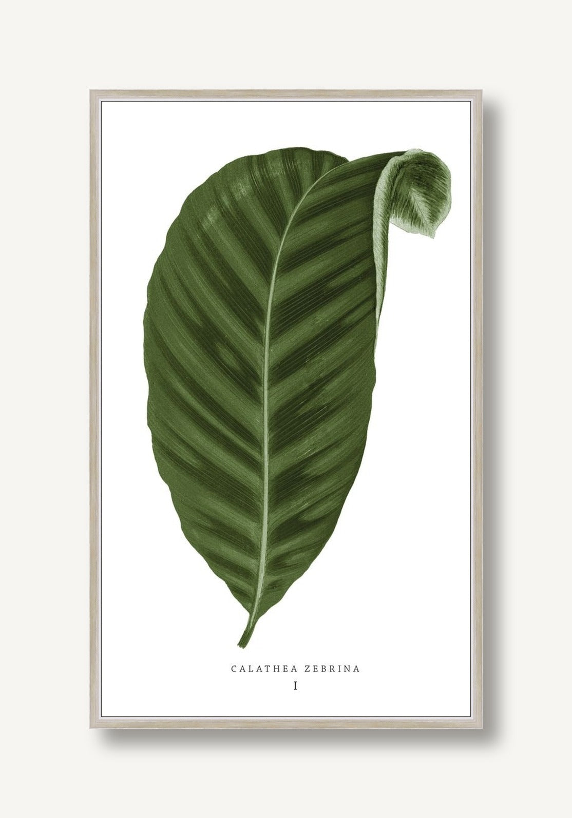 Green Trace 3 framed