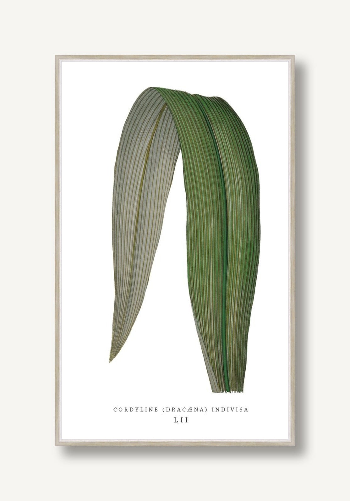 Green Trace 5 framed