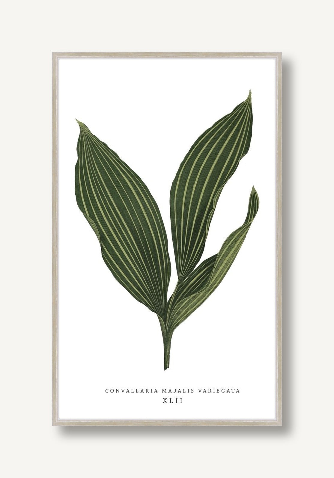 Green Trace 6 framed