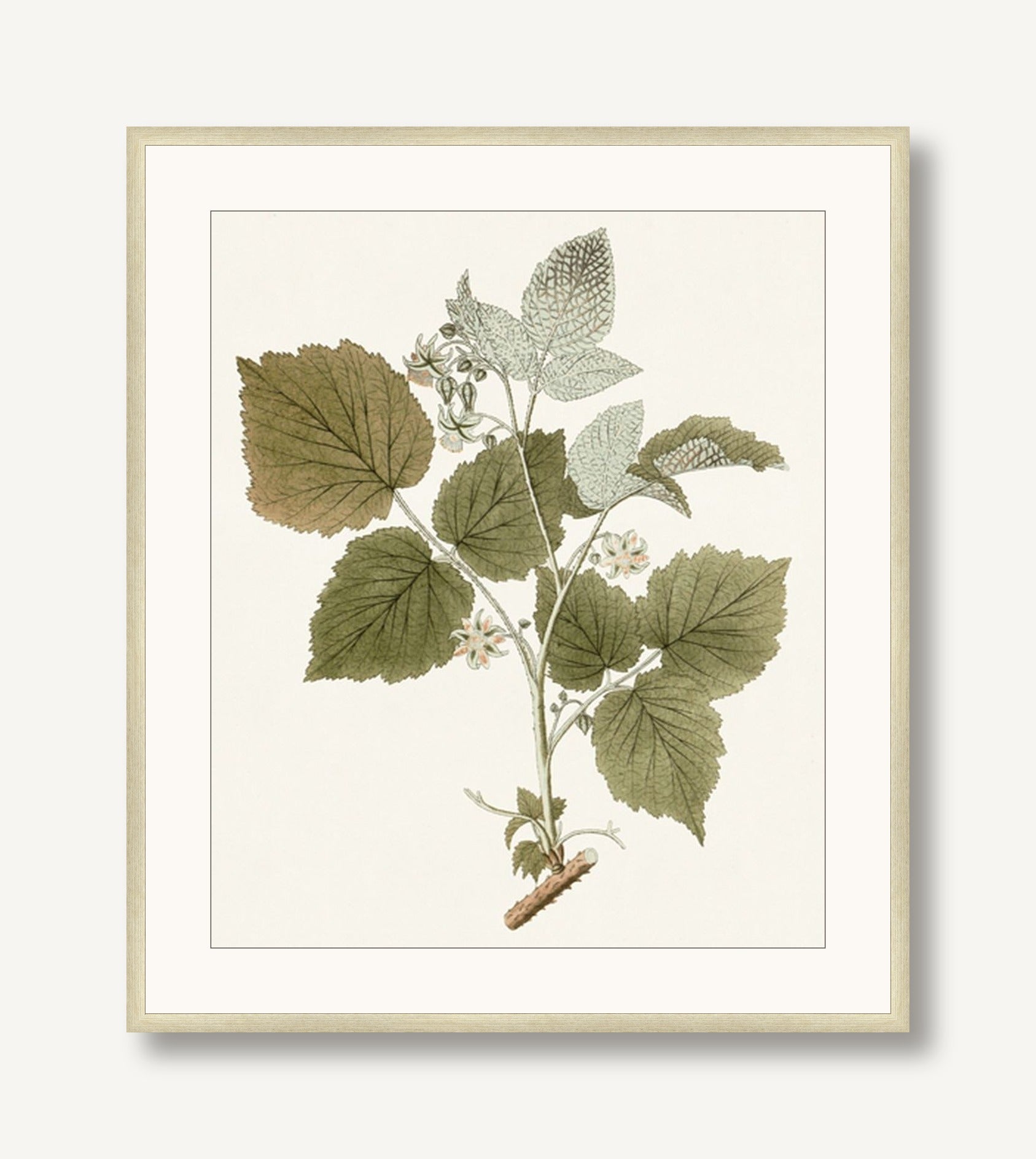 Garden Treasures 1 framed