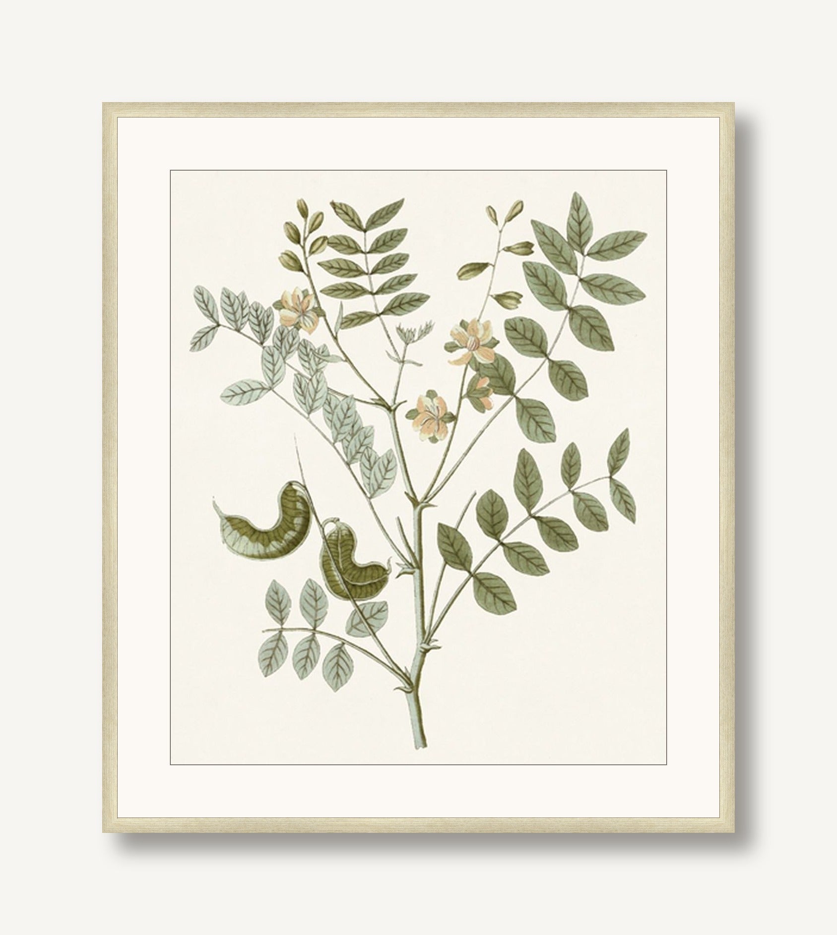 Garden Treasures 3 framed