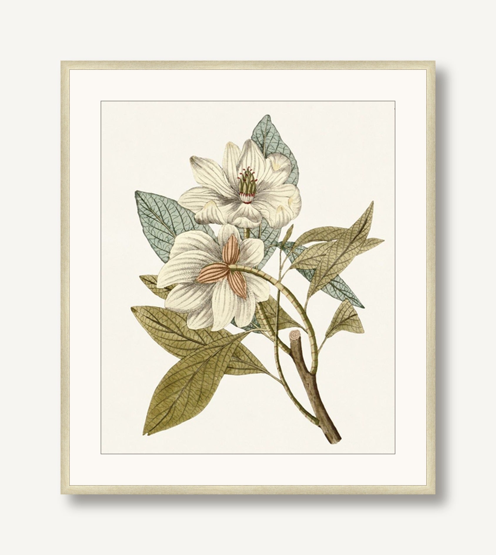Garden Treasures 4 framed