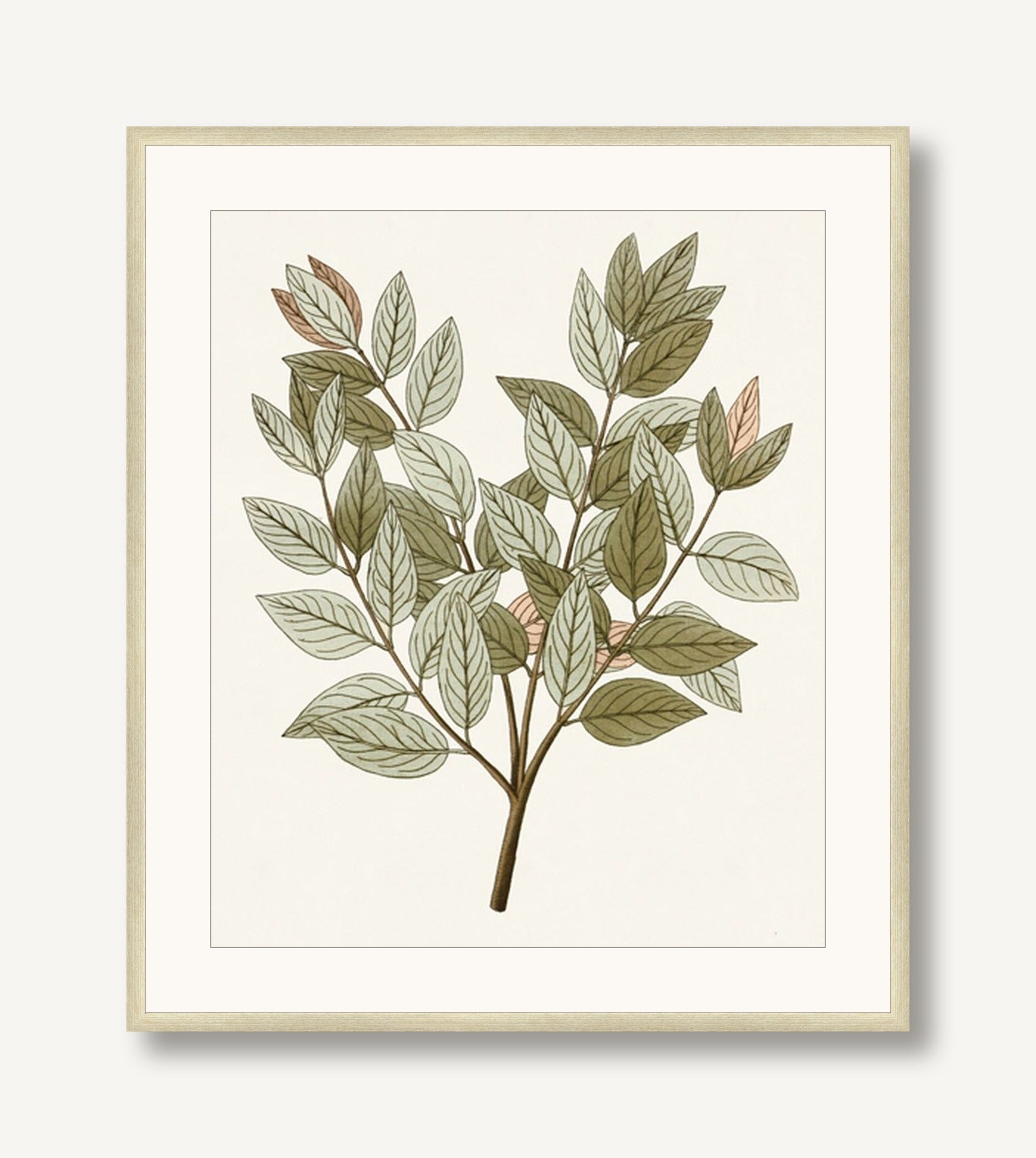 Garden Treasures 5 framed