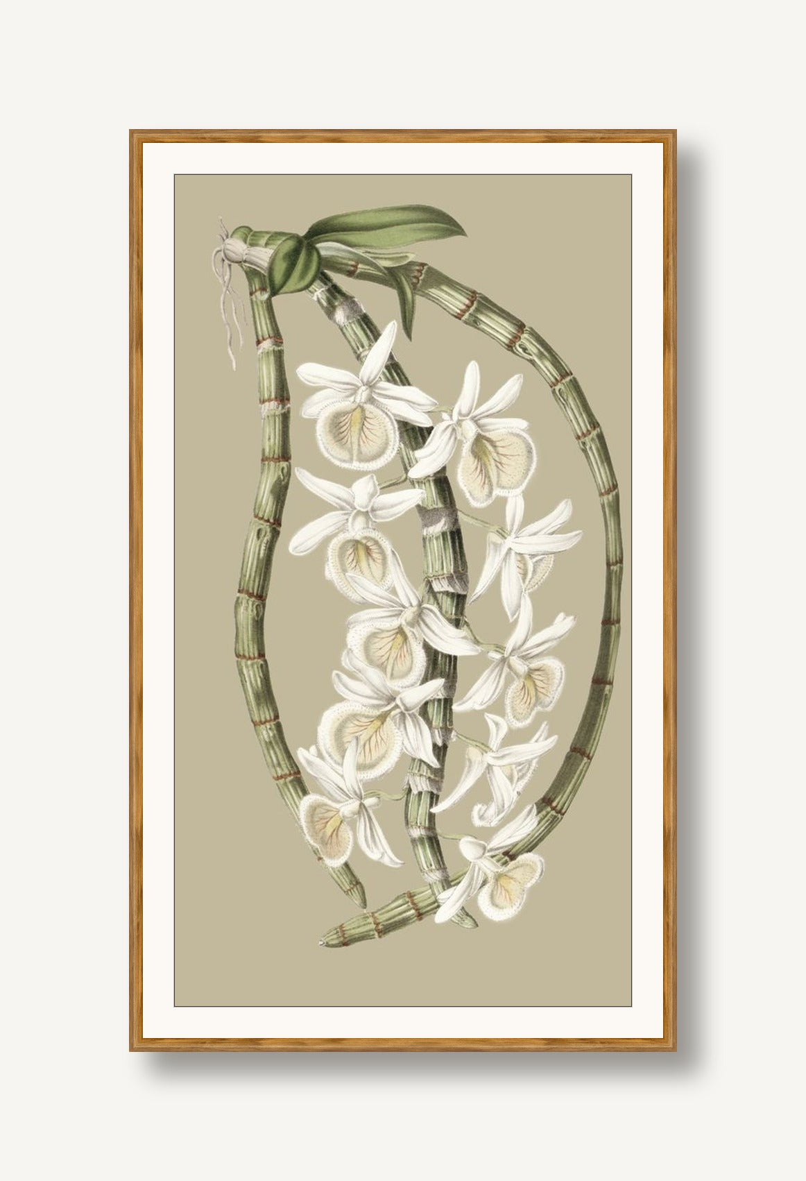 Jungle Flora 1 framed