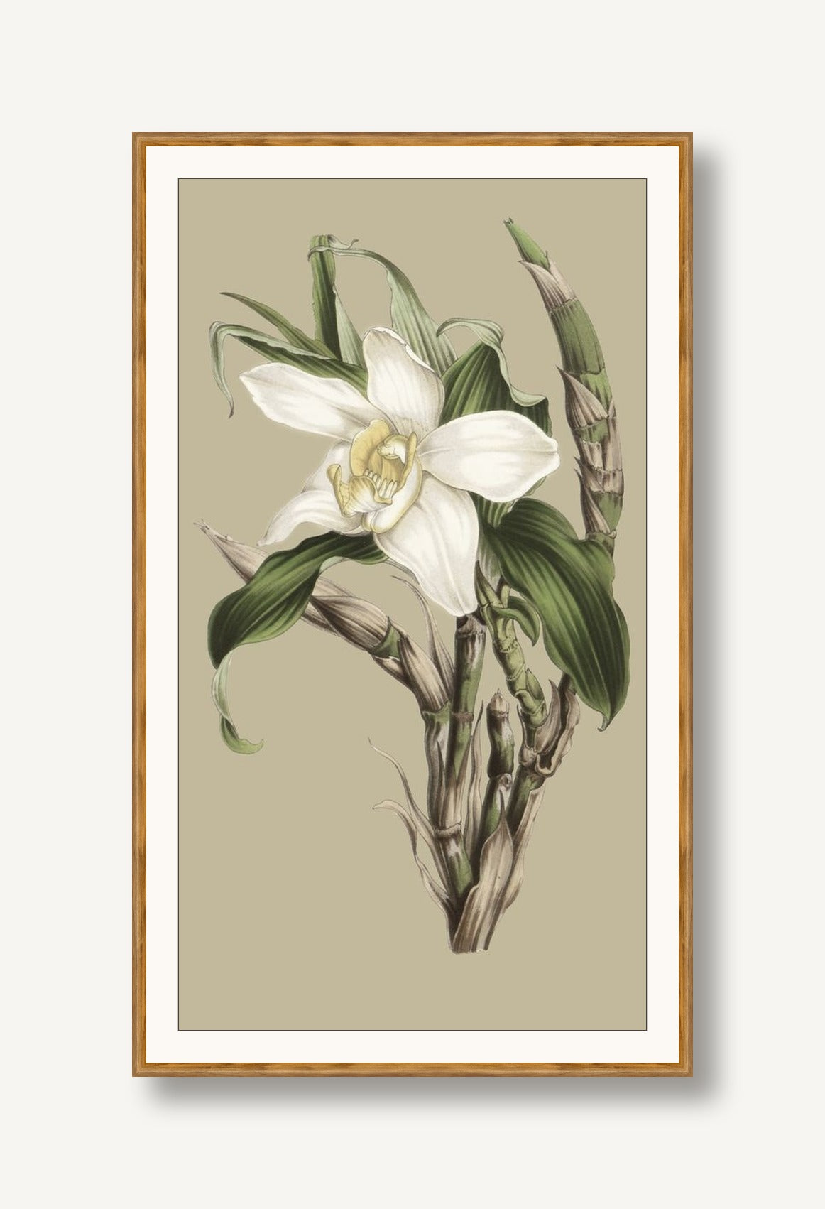 Jungle Flora 2 framed