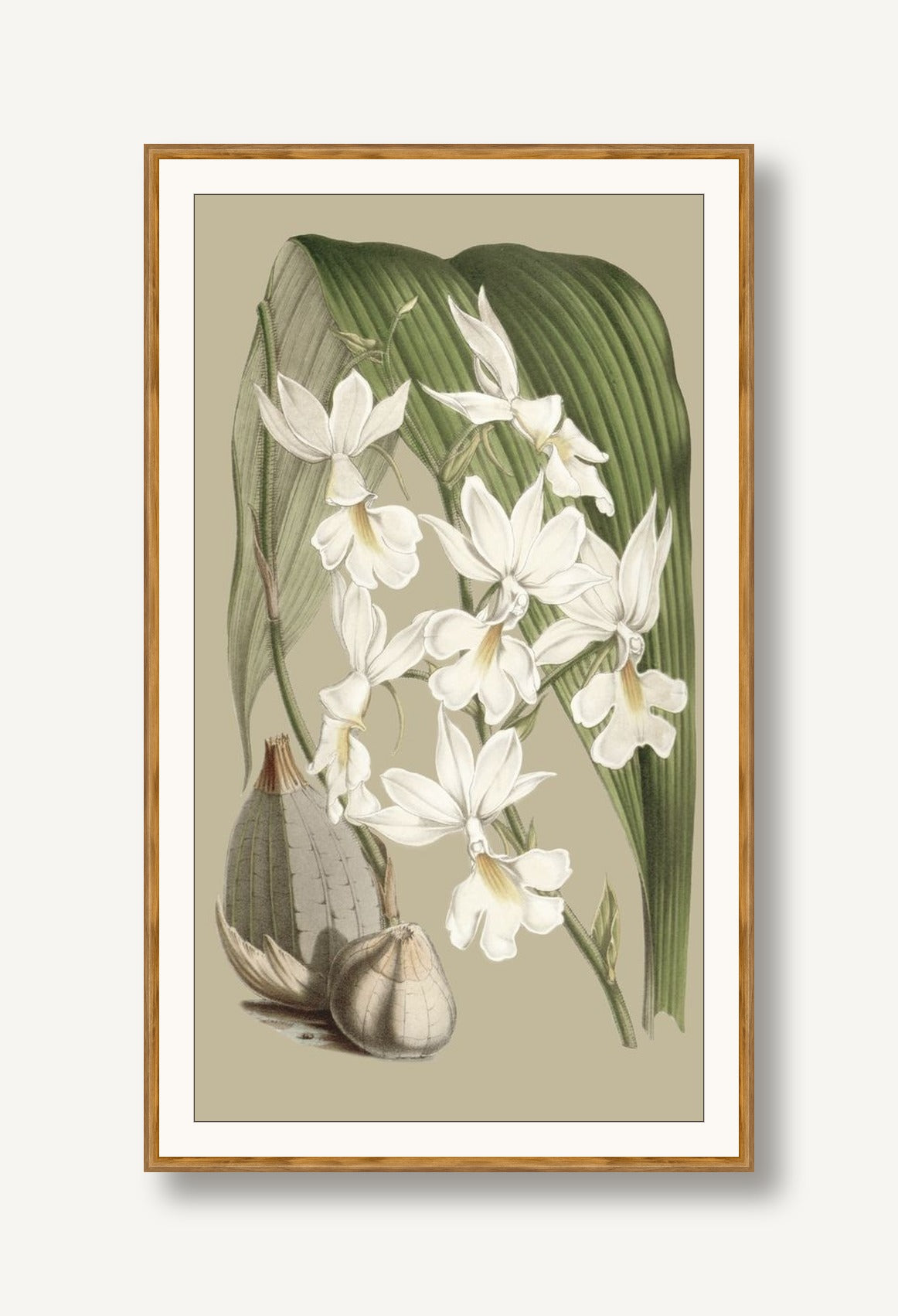 Jungle Flora 3 framed