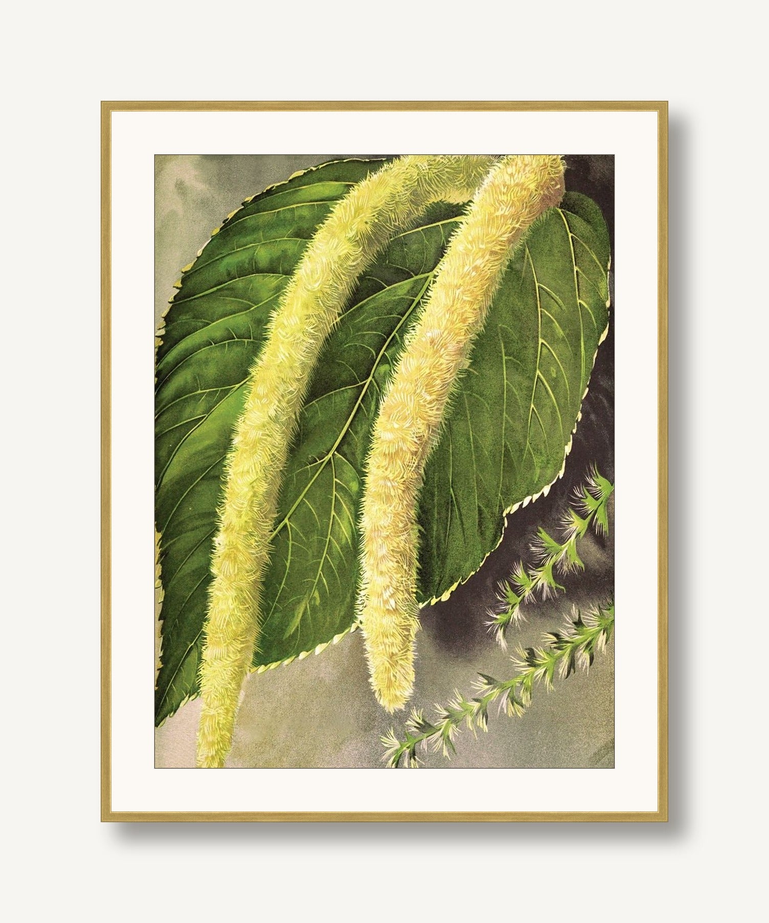 Jewel Blooms 2 framed