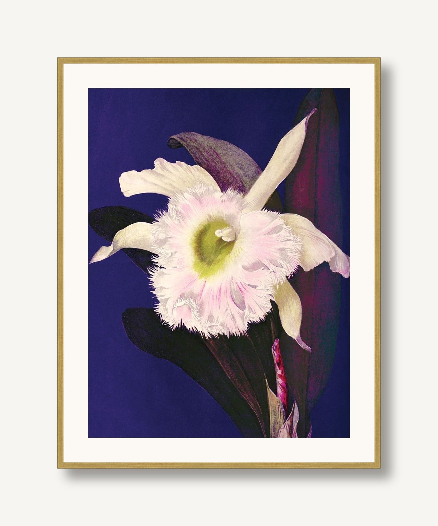 Jewel Blooms 3 framed