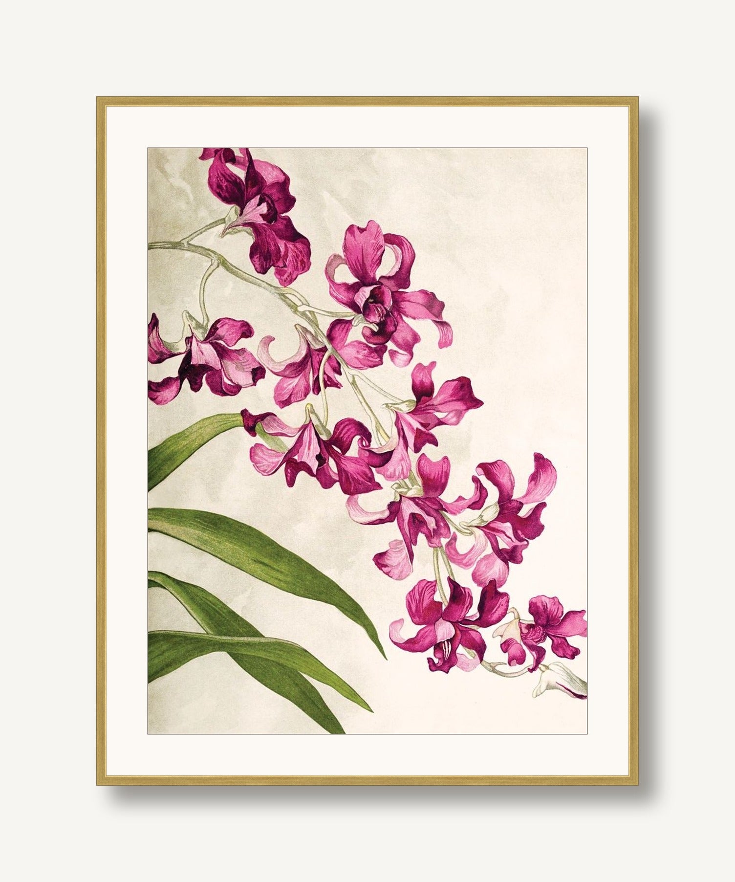 Jewel Blooms 4 framed