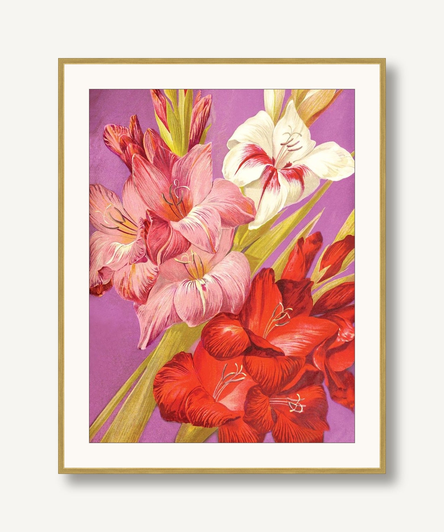 Jewel Blooms 5 framed