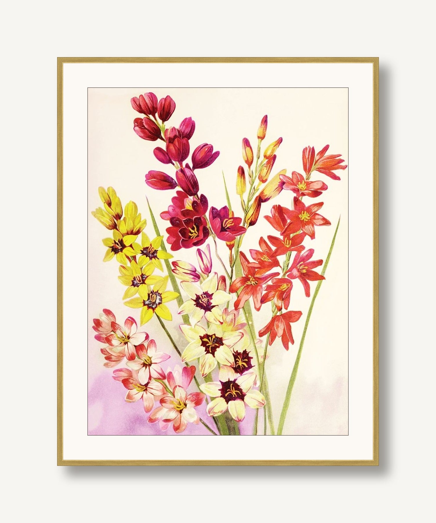 Jewel Blooms 6 framed