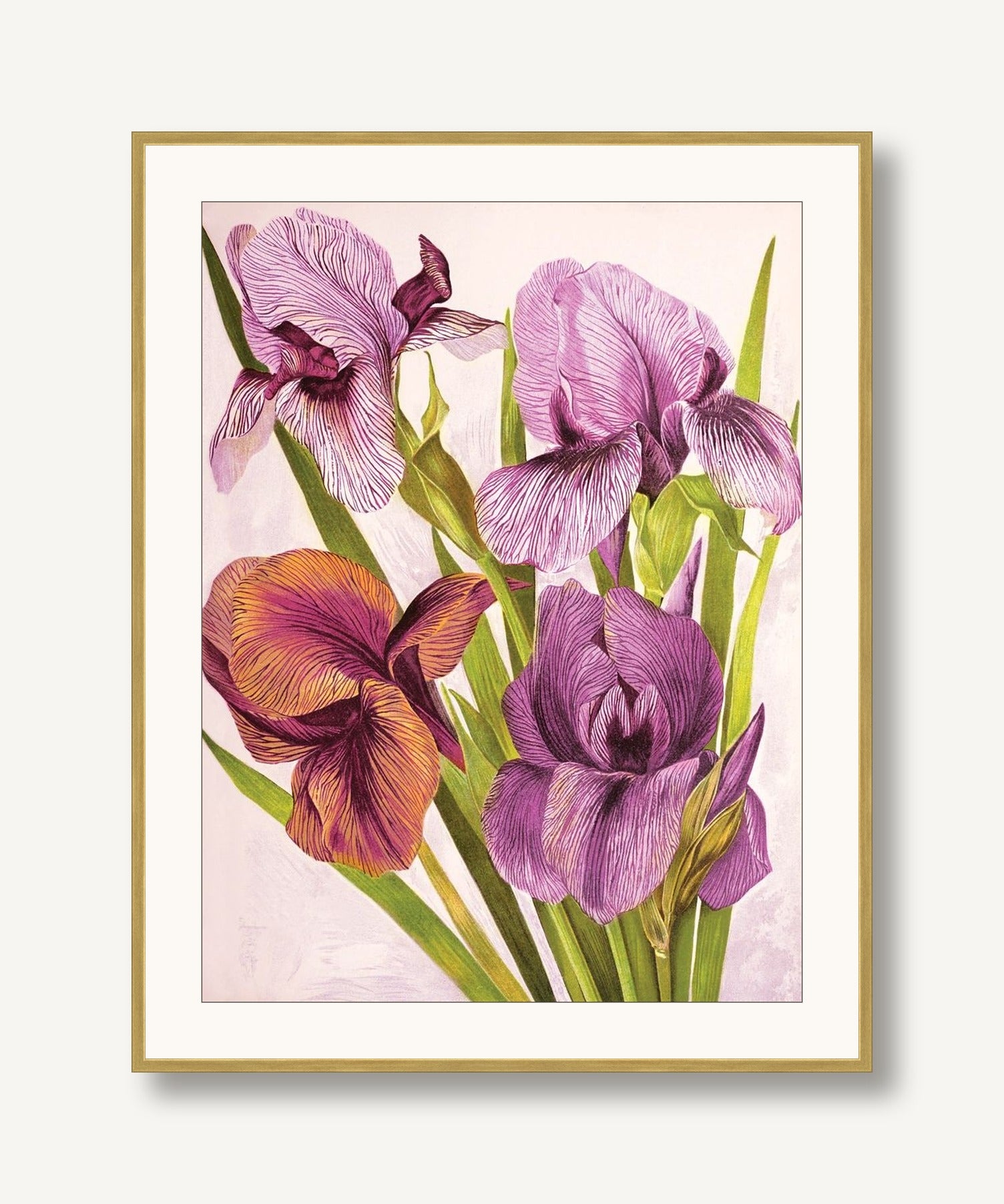 Jewel Blooms 7 framed