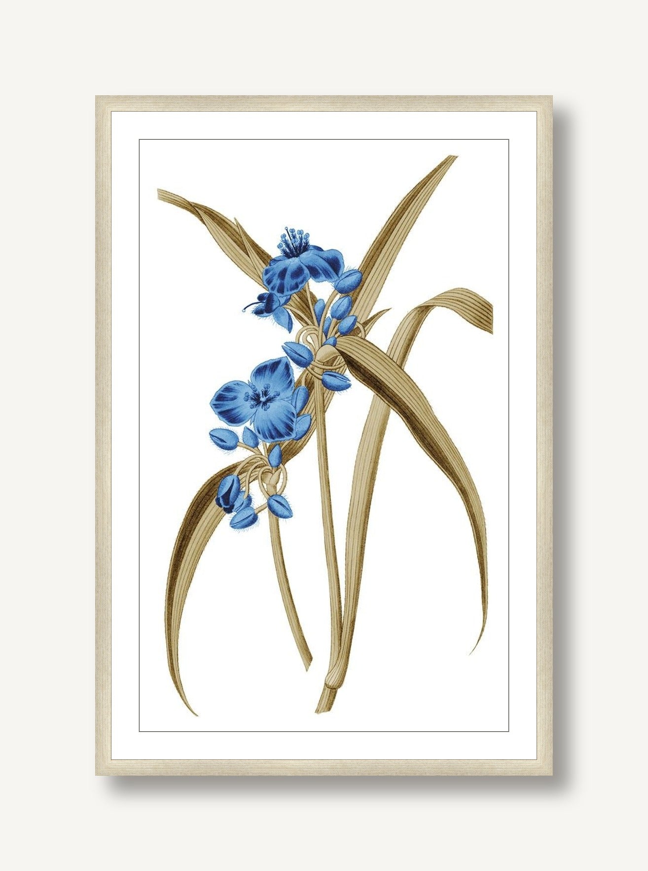 Midsummer Zeal 6 framed