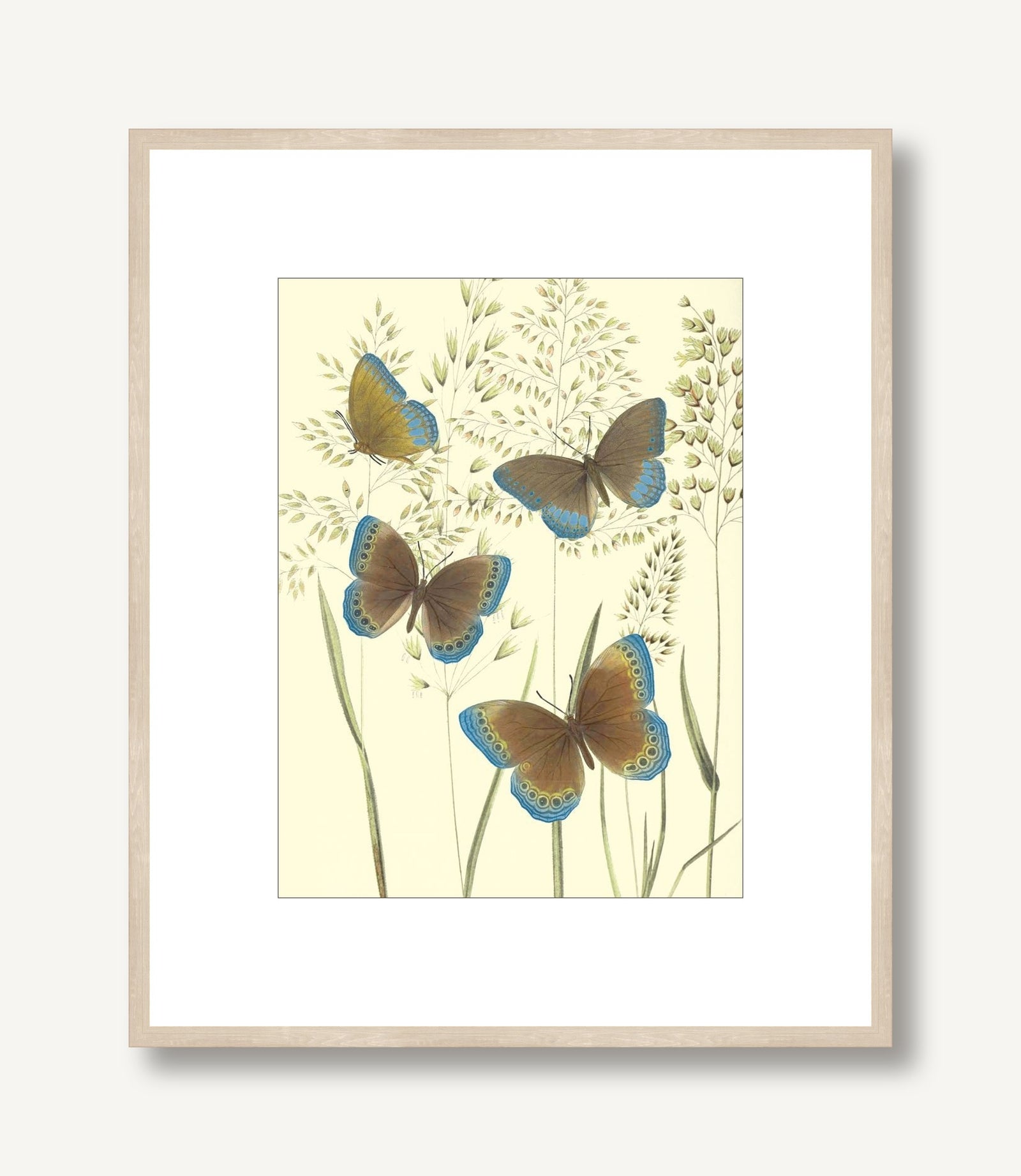 Mariposas 1 framed