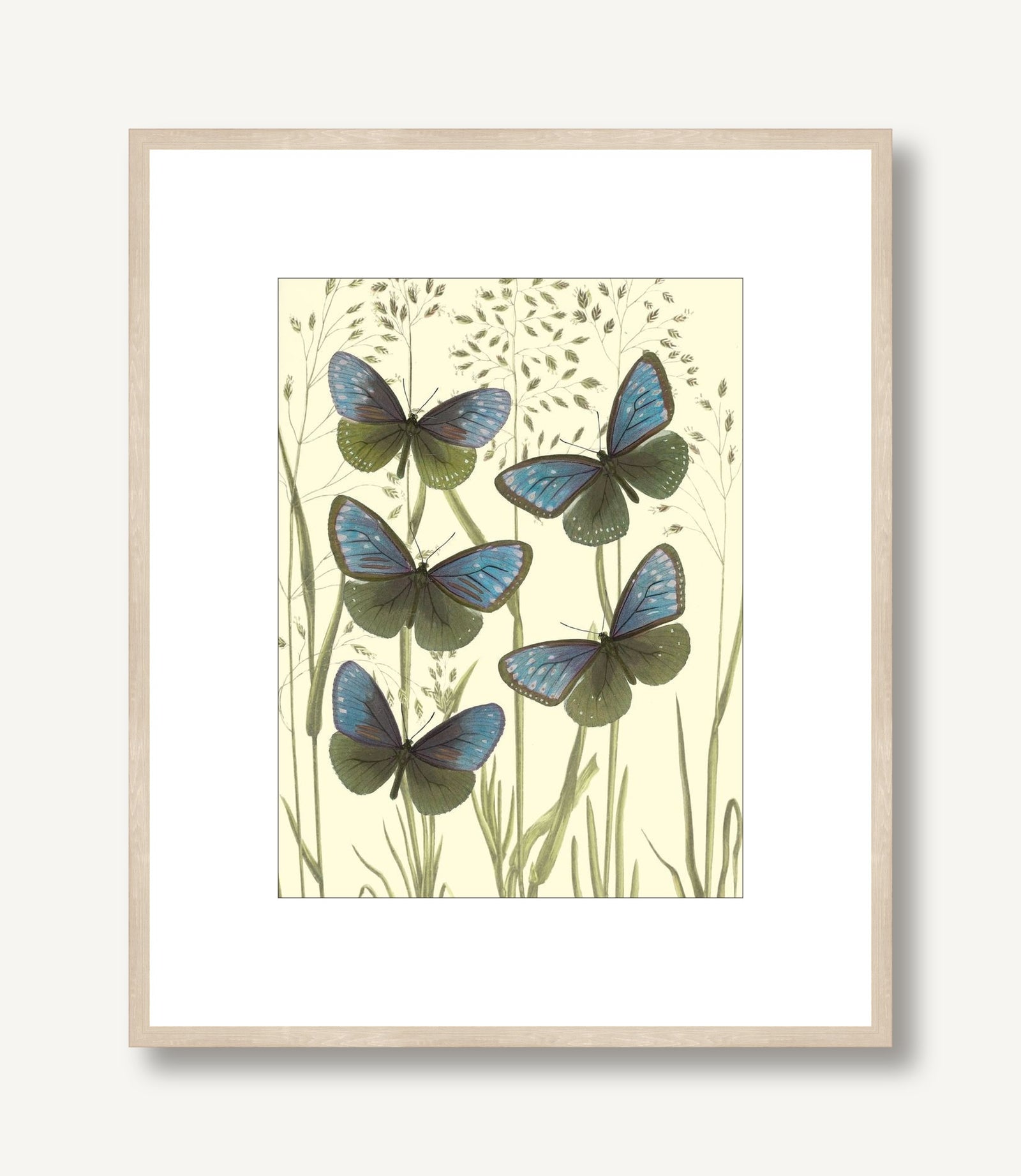 Mariposas 2 framed