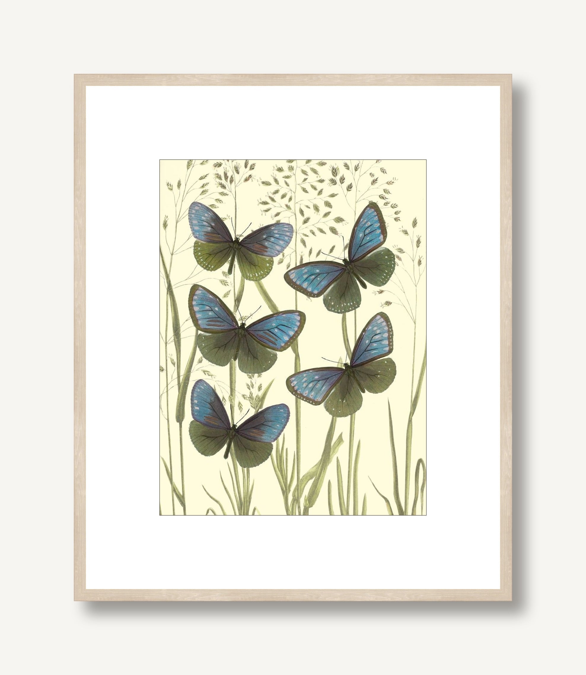 Mariposas 2 framed