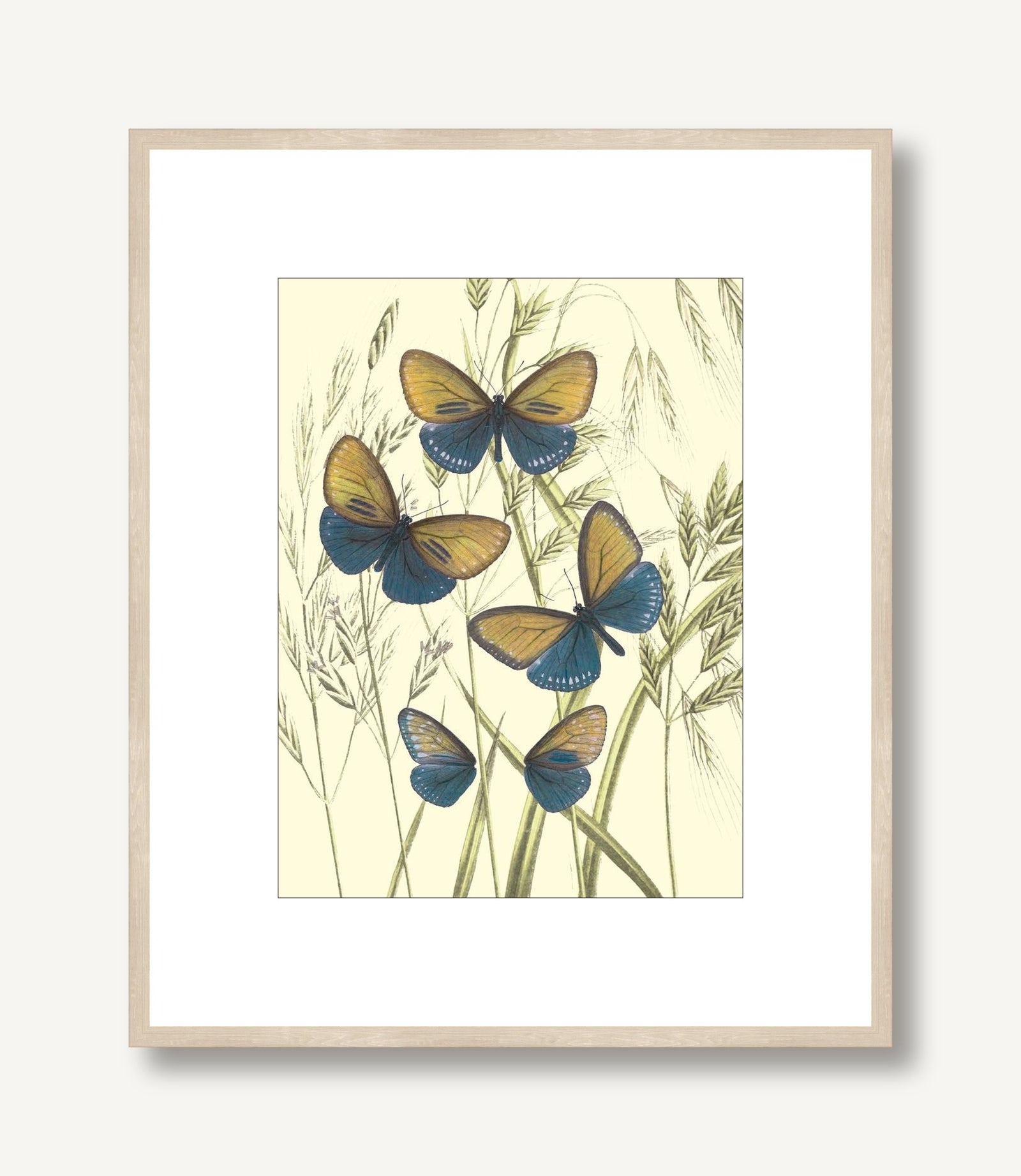 Mariposas 3 framed