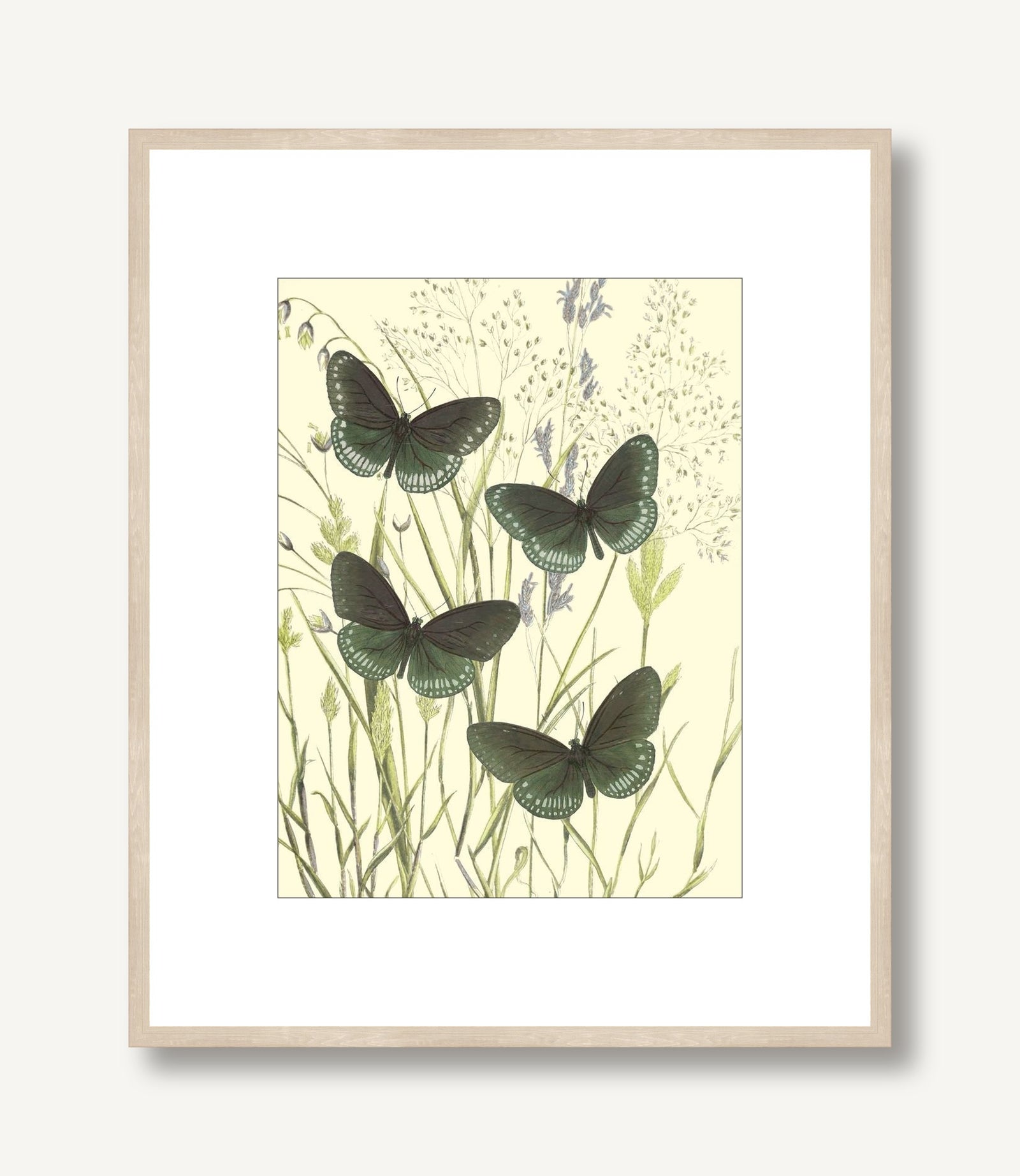Mariposas 4 framed