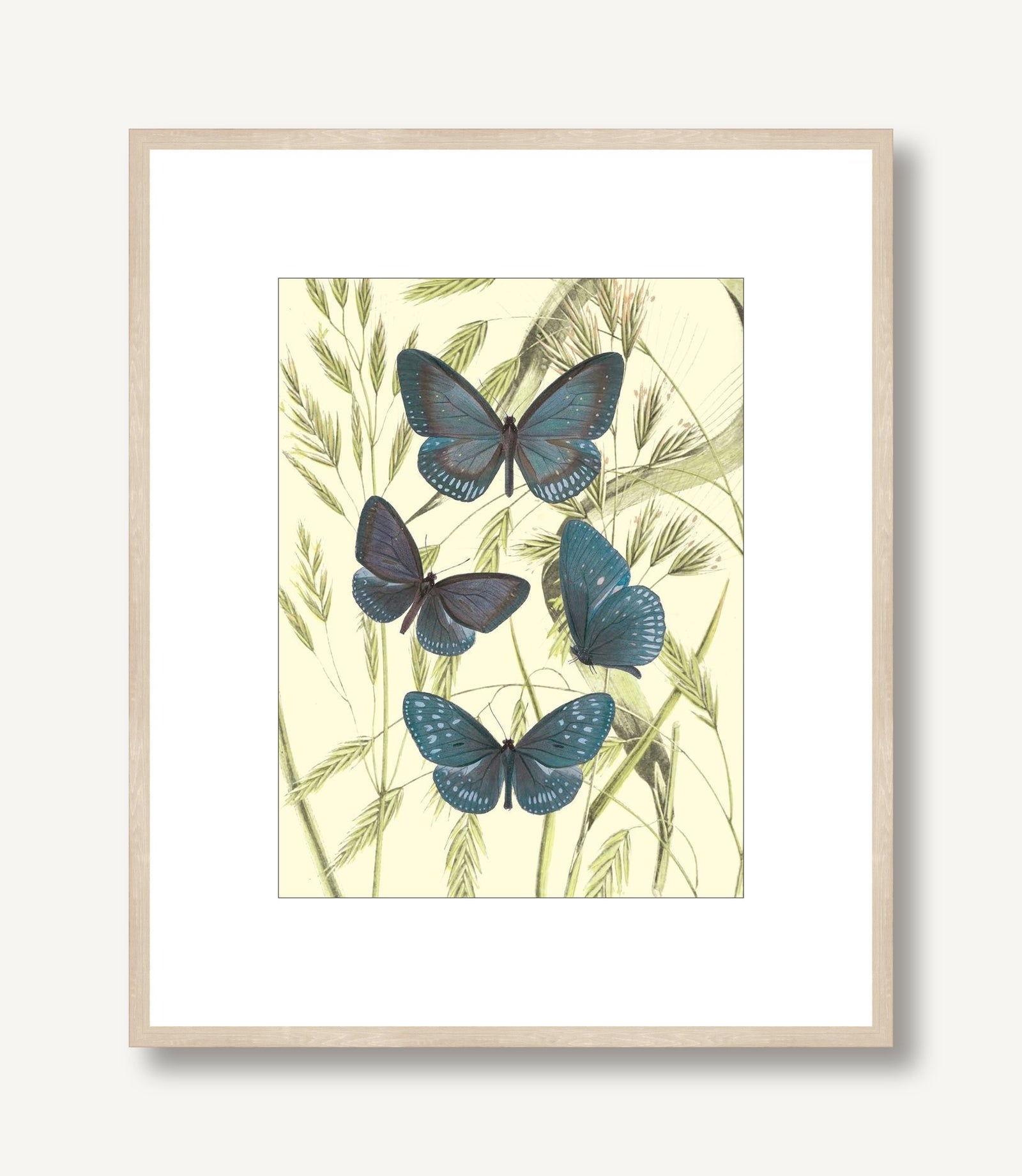 Mariposas 5 framed
