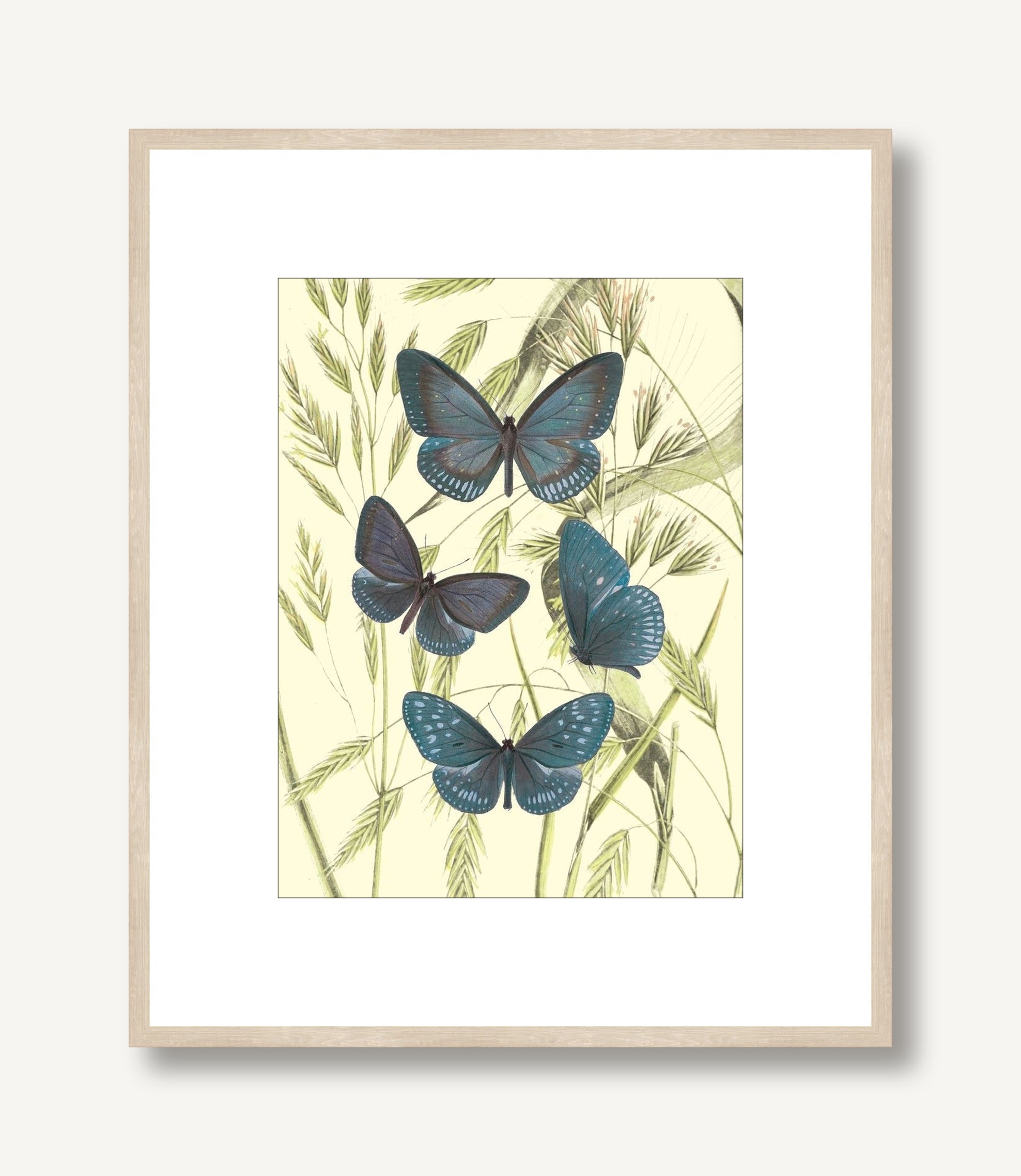Mariposas 5 framed