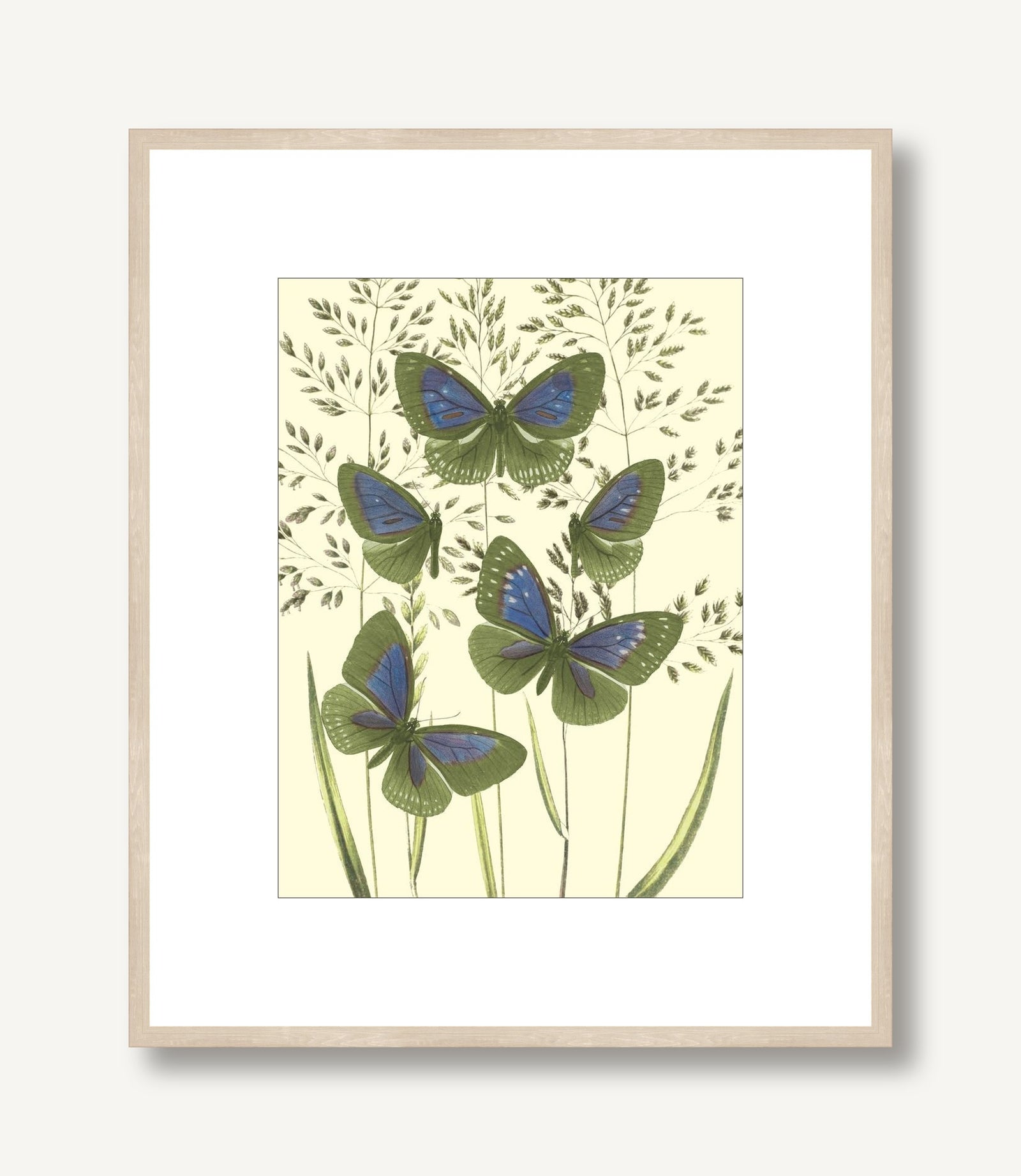 Mariposas 6 framed
