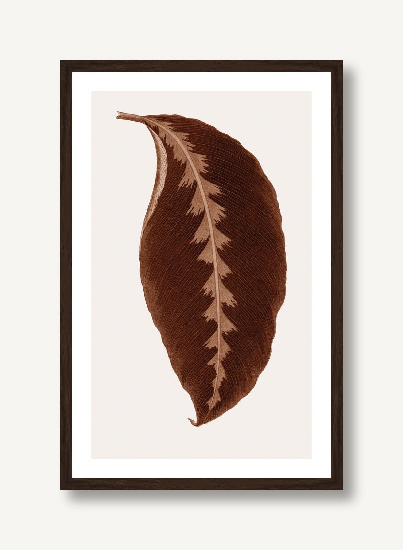 Neoteric Trace 4 framed