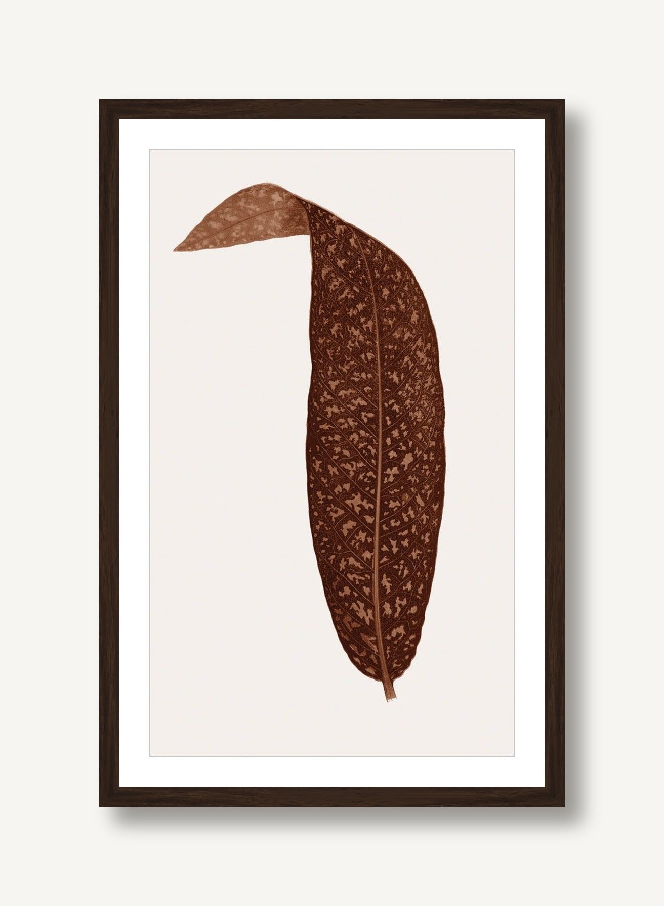 Neoteric Trace 5 framed