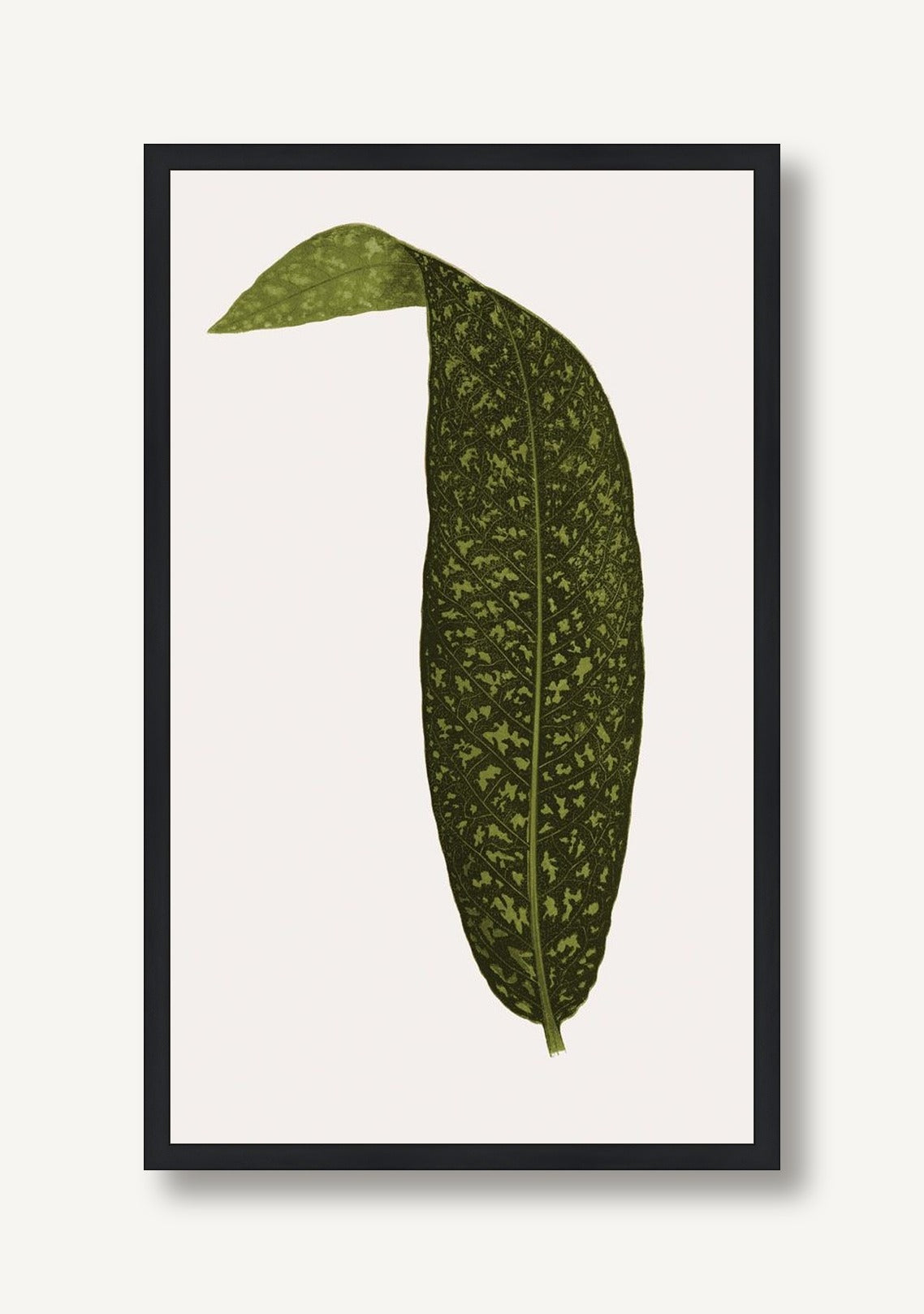 Neoteric Trace Green 2 framed