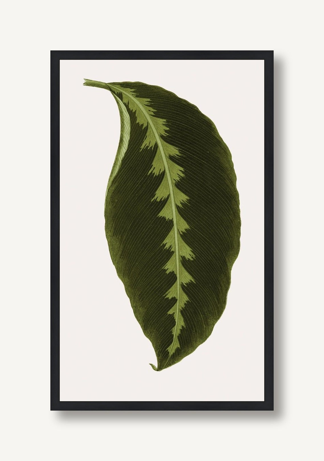 Neoteric Trace Green 3 framed