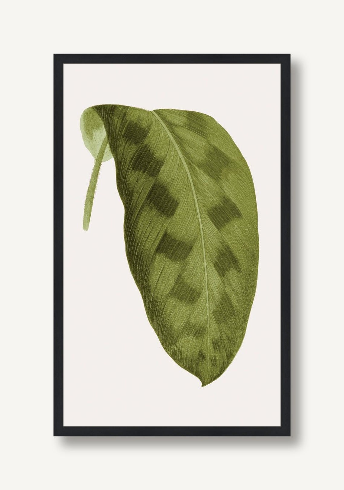 Neoteric Trace Green 4 framed