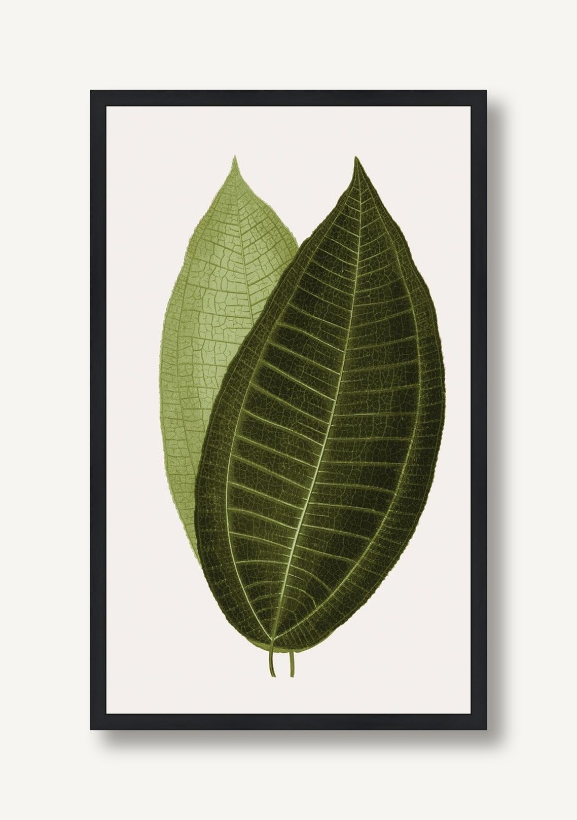 Neoteric Trace Green 5 framed