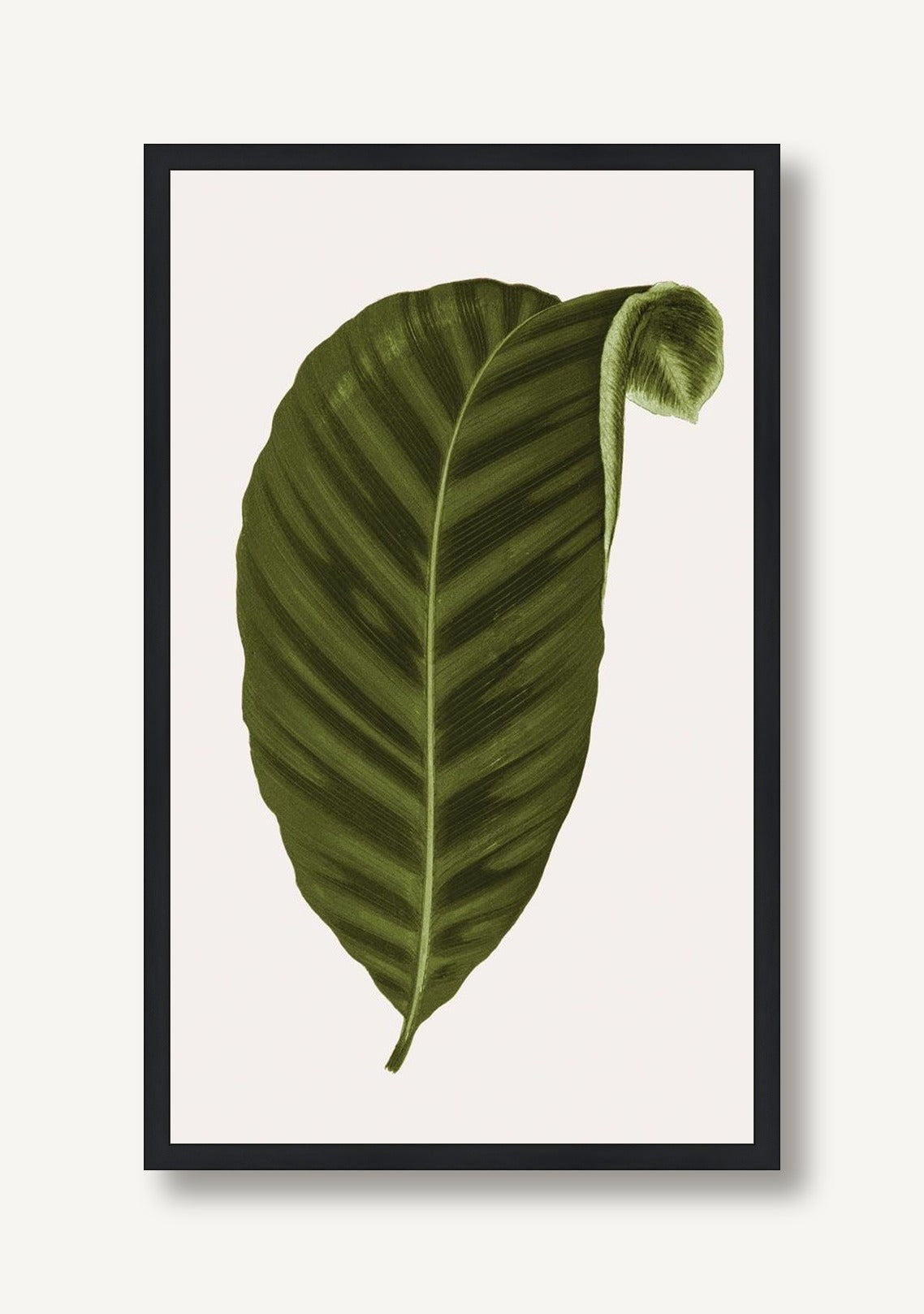 Neoteric Trace Green 6 framed