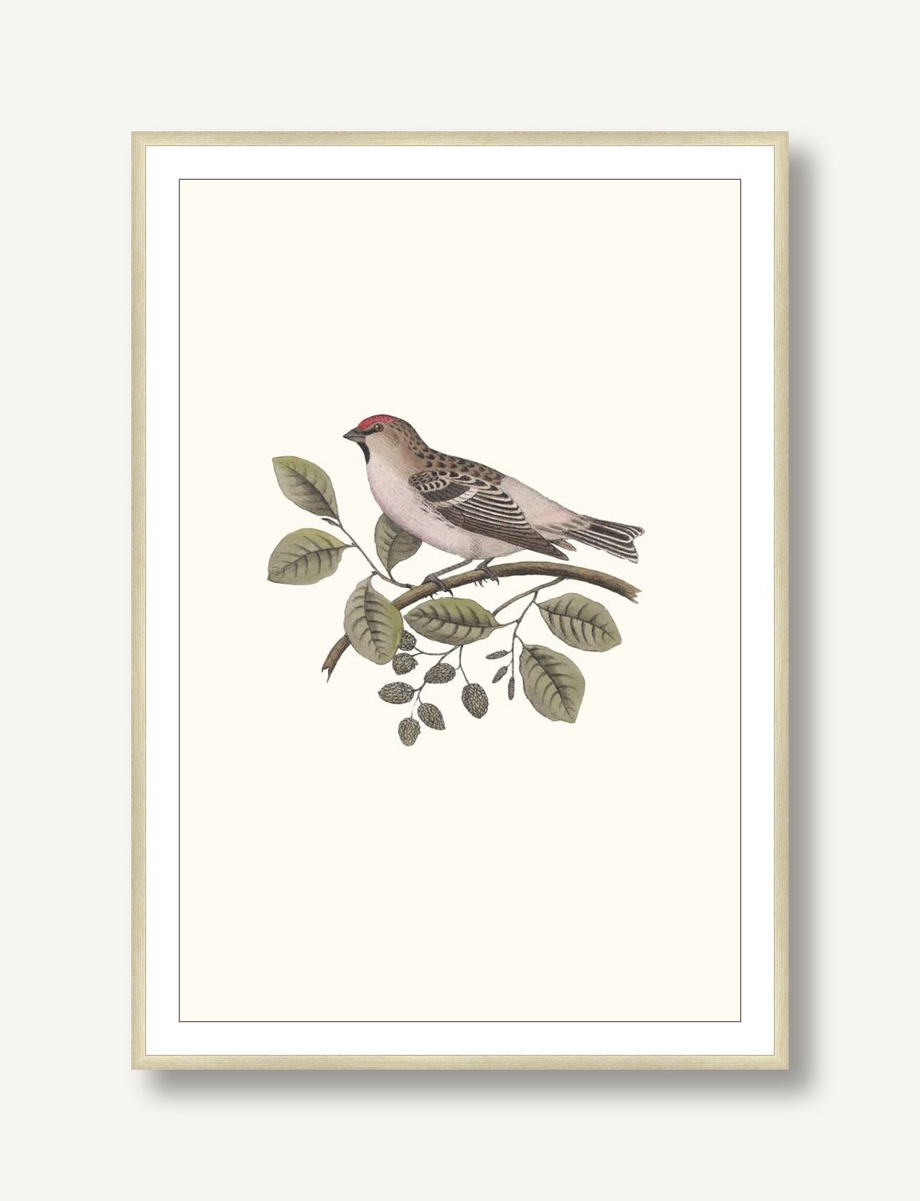 Nesting Navigators Ivory 1 framed