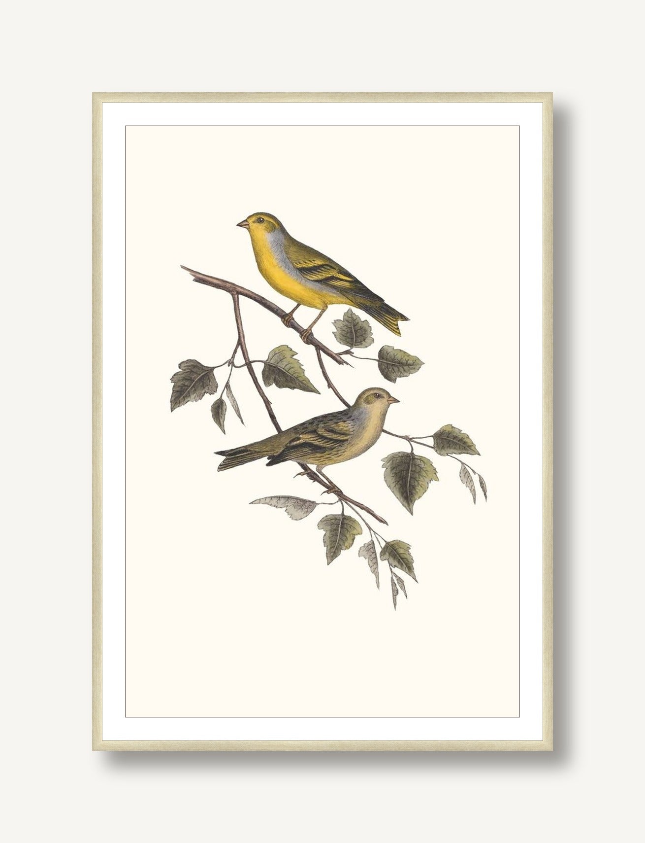 Nesting Navigators Ivory 2 framed