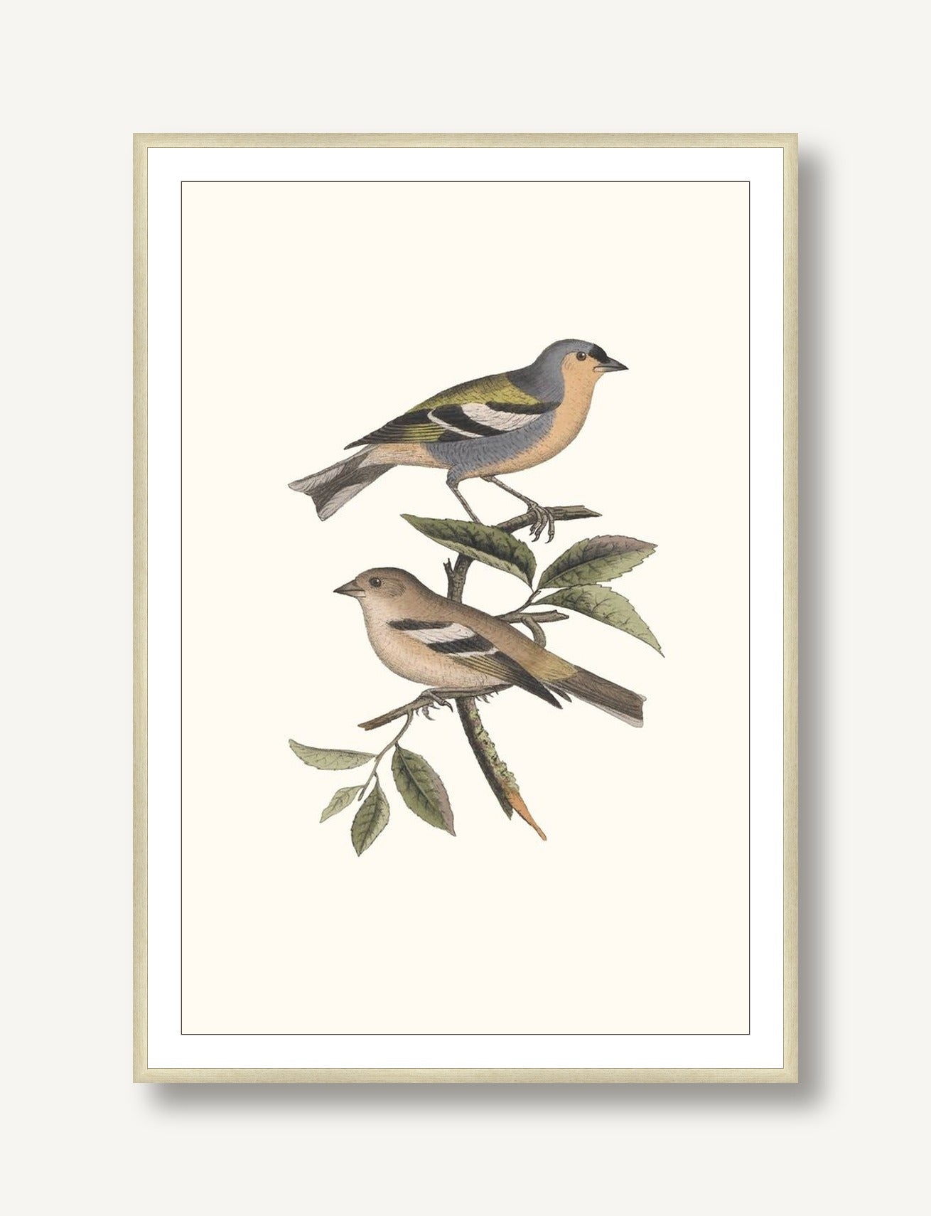 Nesting Navigators Ivory 3 framed