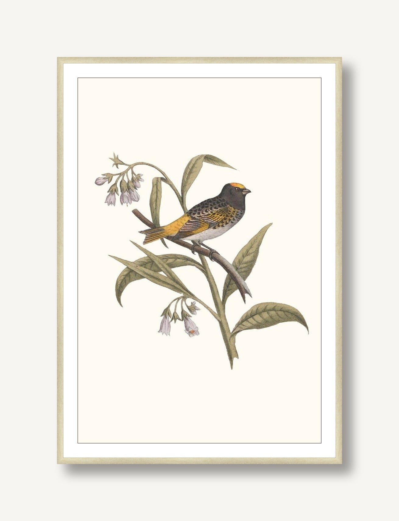 Nesting Navigators Ivory 5 framed