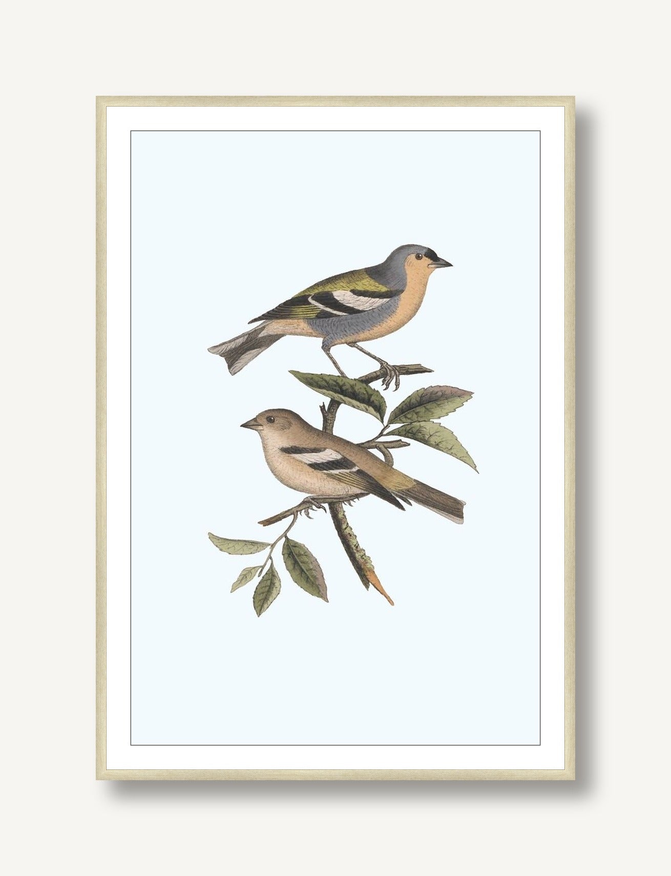 Nesting Navigators Blue 3 framed
