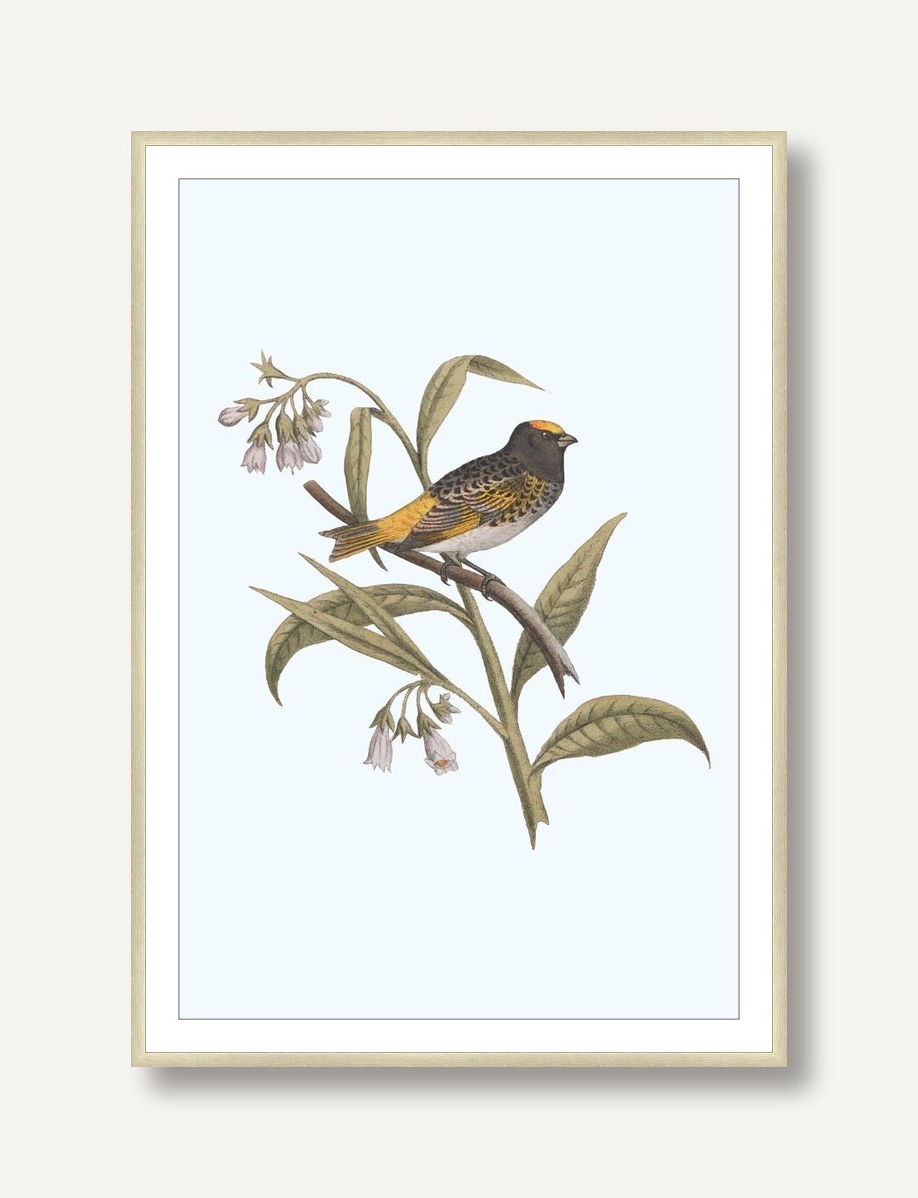 Nesting Navigators Blue 5 framed