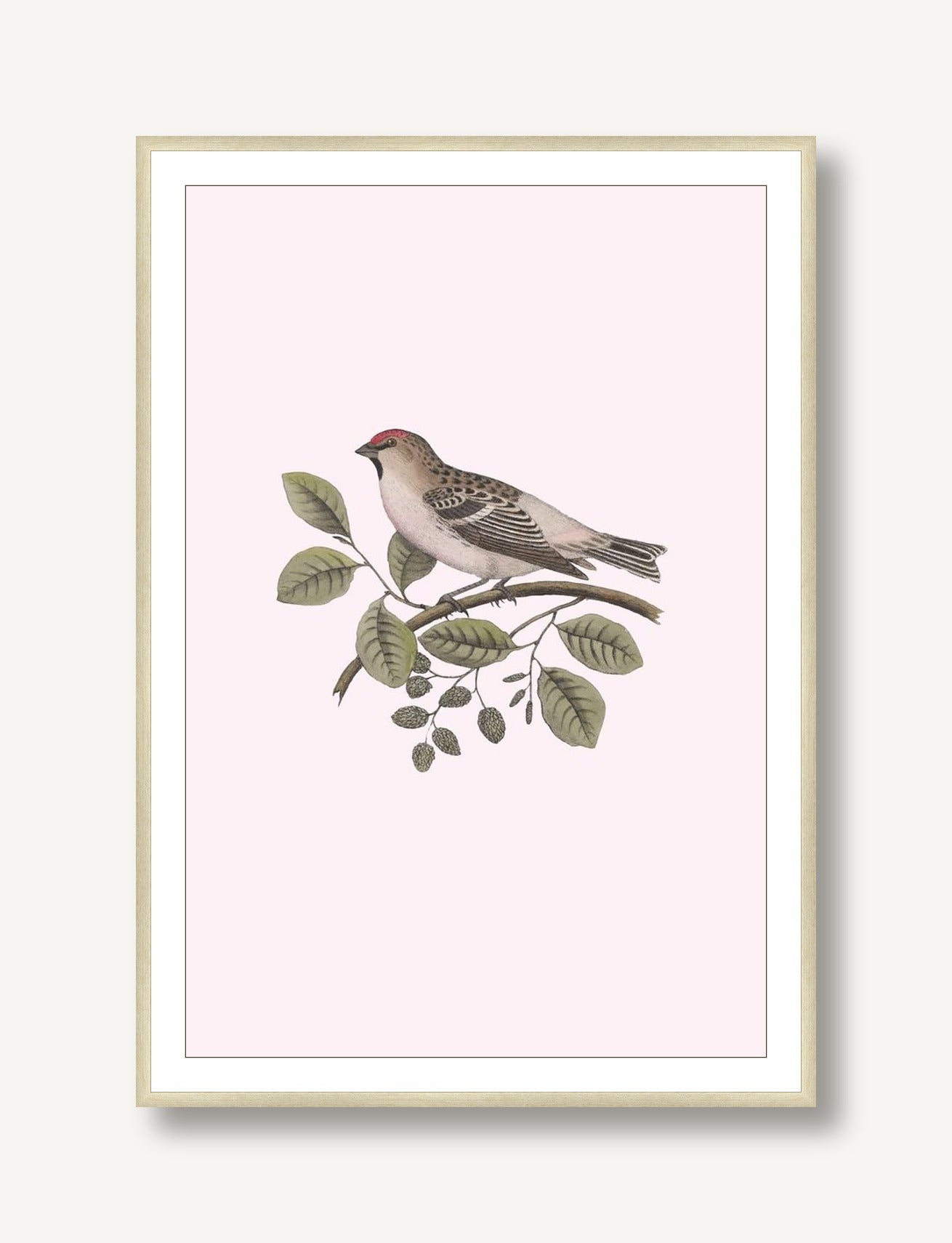 Nesting Navigators Pink 1 framed