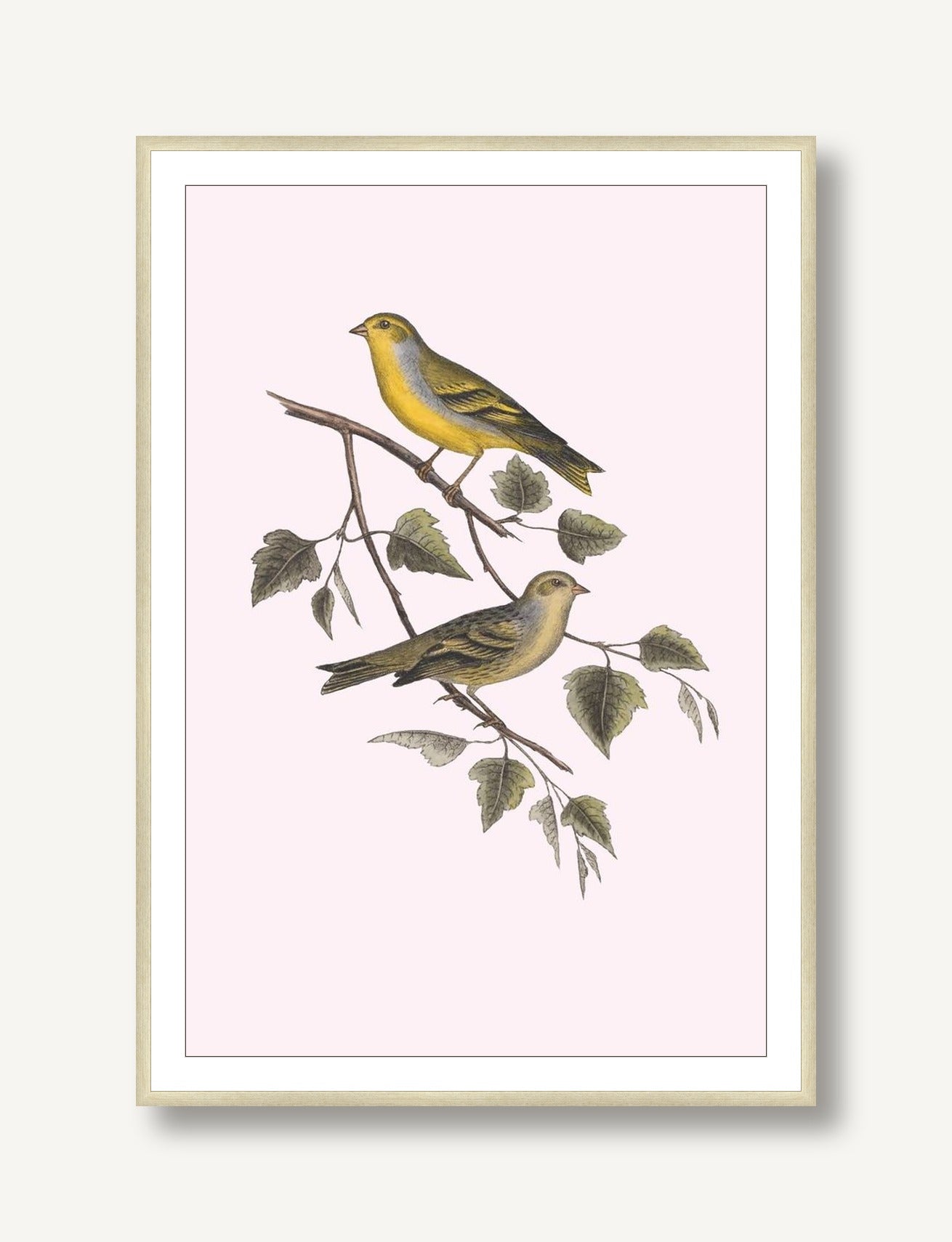Nesting Navigators Pink 2 framed