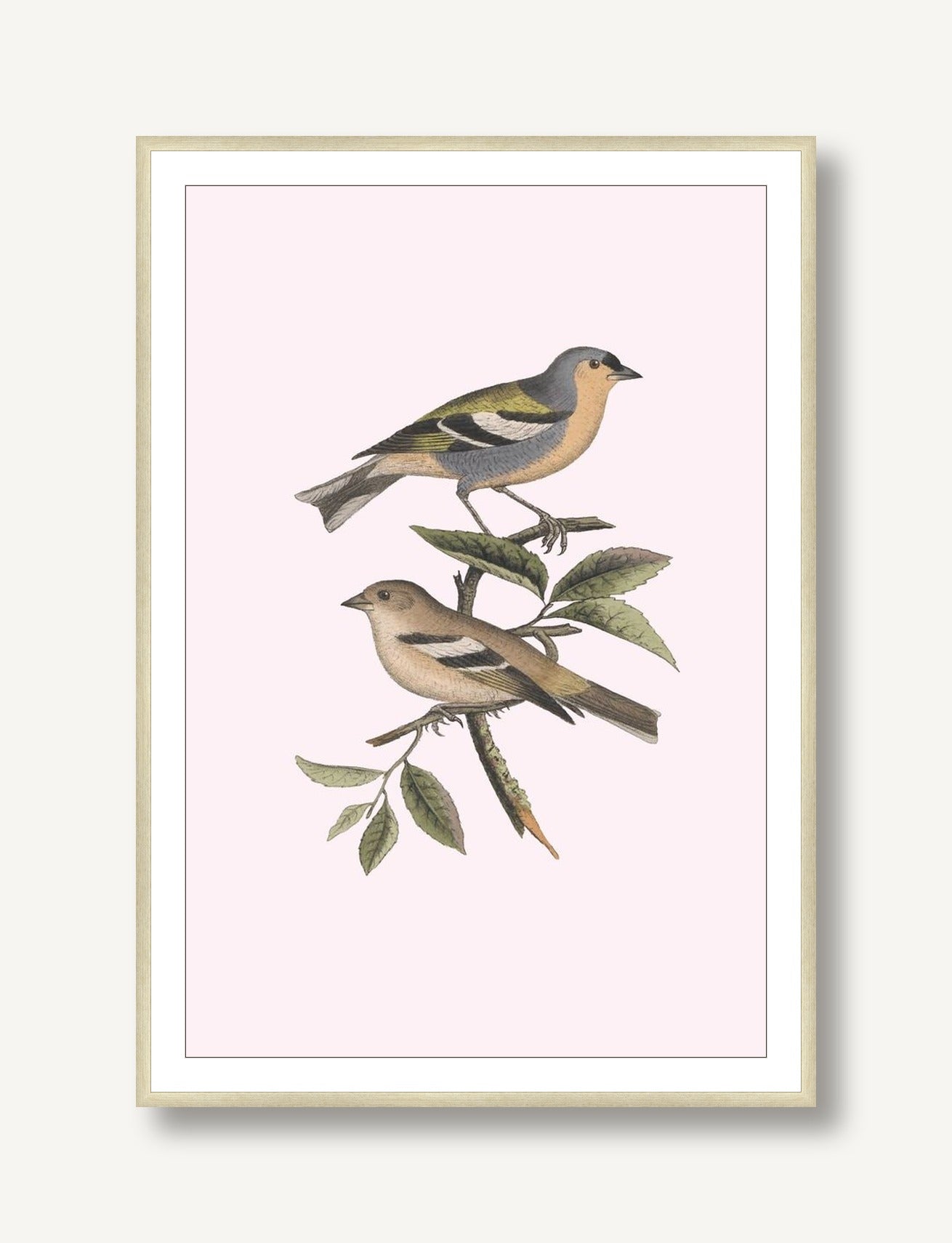 Nesting Navigators Pink 3 framed