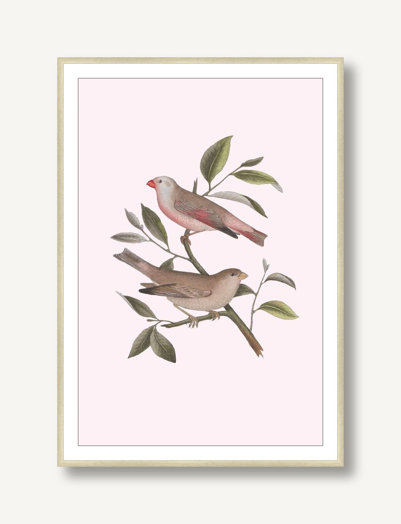 Nesting Navigators Pink 6 framed