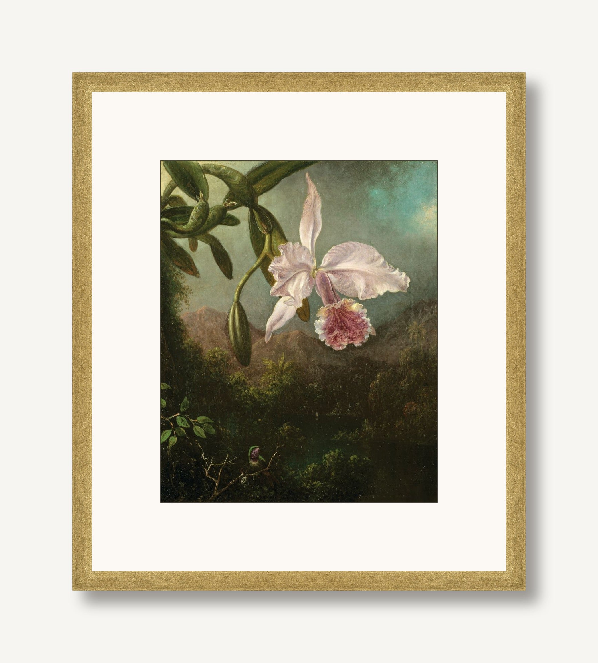 Orchid at Dusk 1 framed