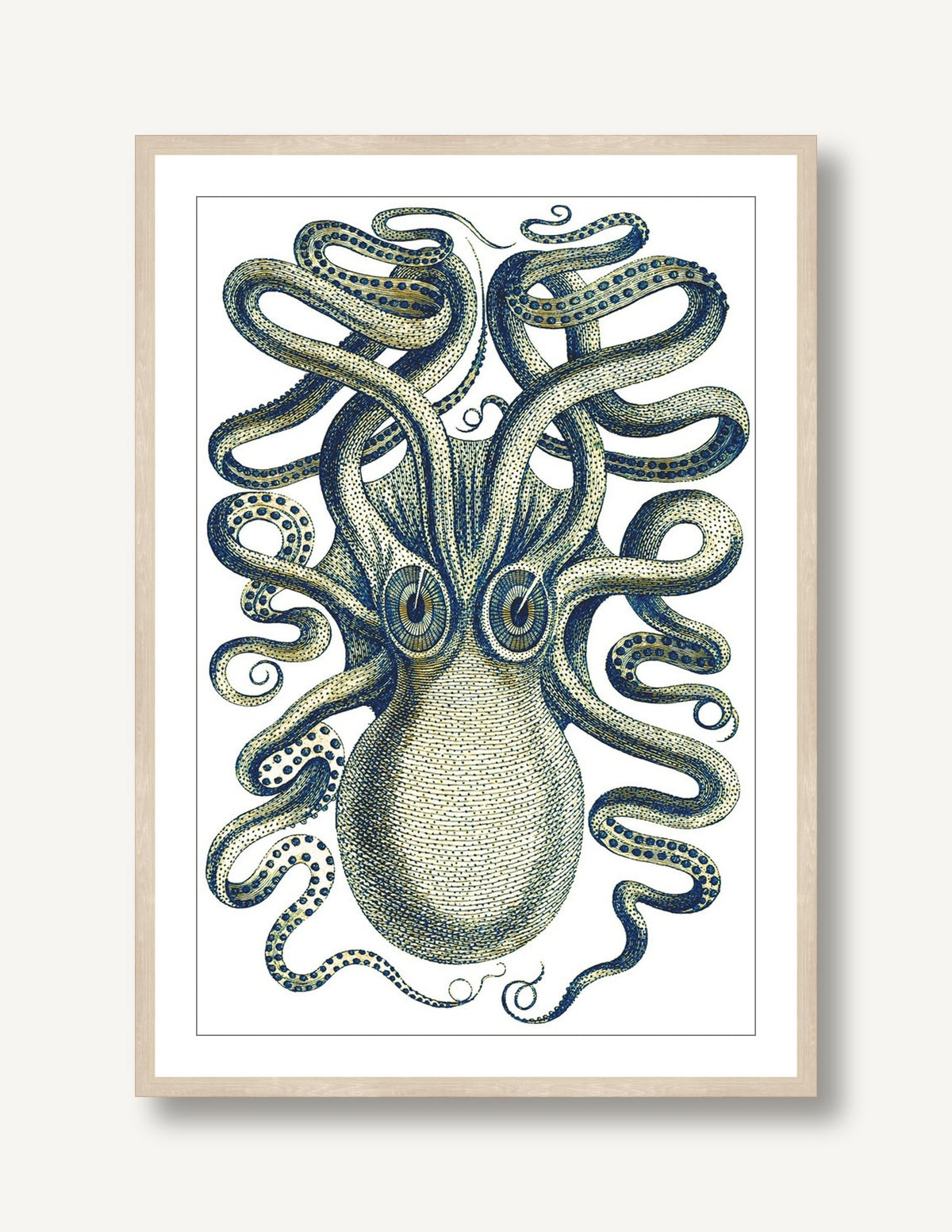 Quiet Kraken 1 framed