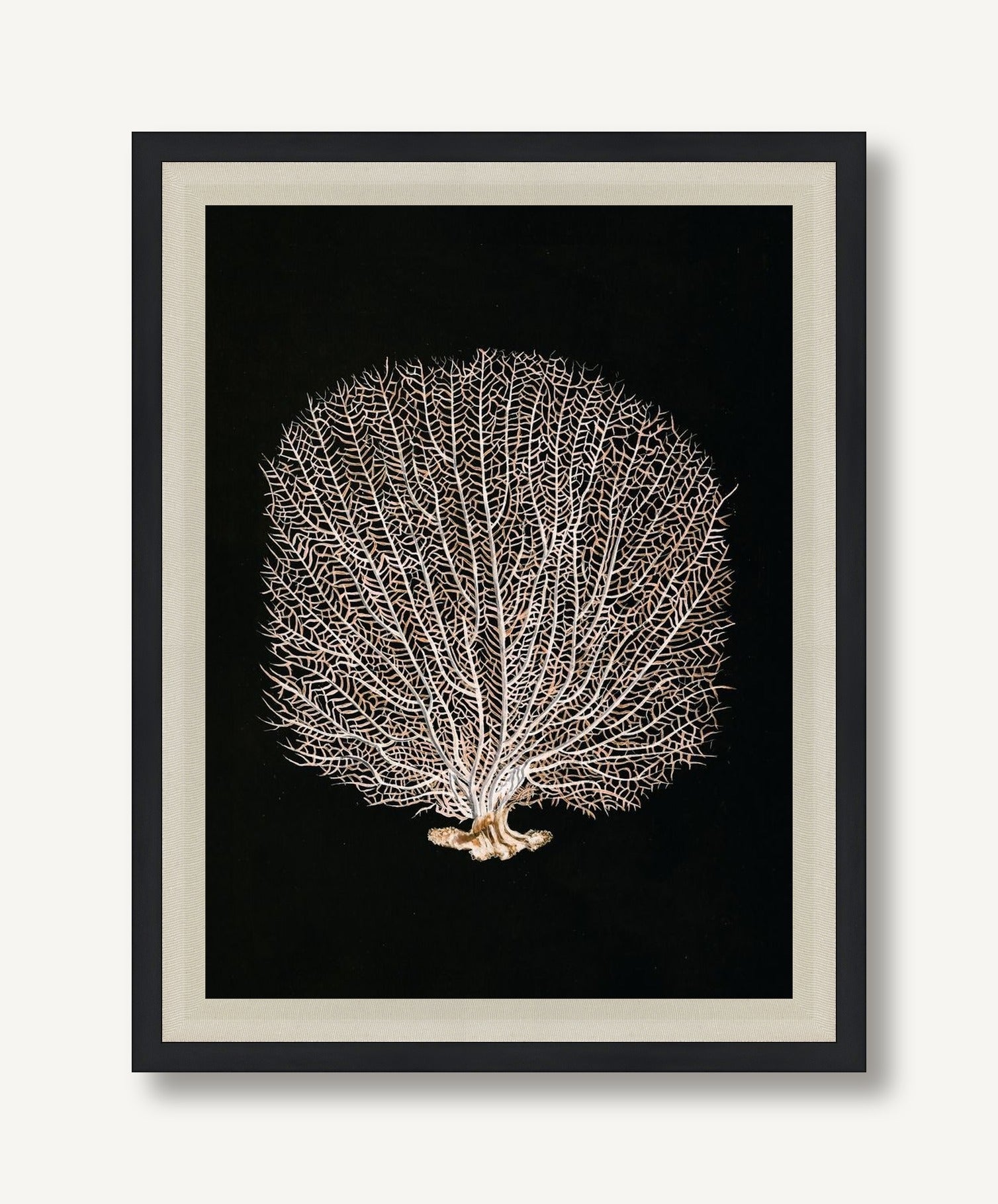 Timeless Relic 1 framed